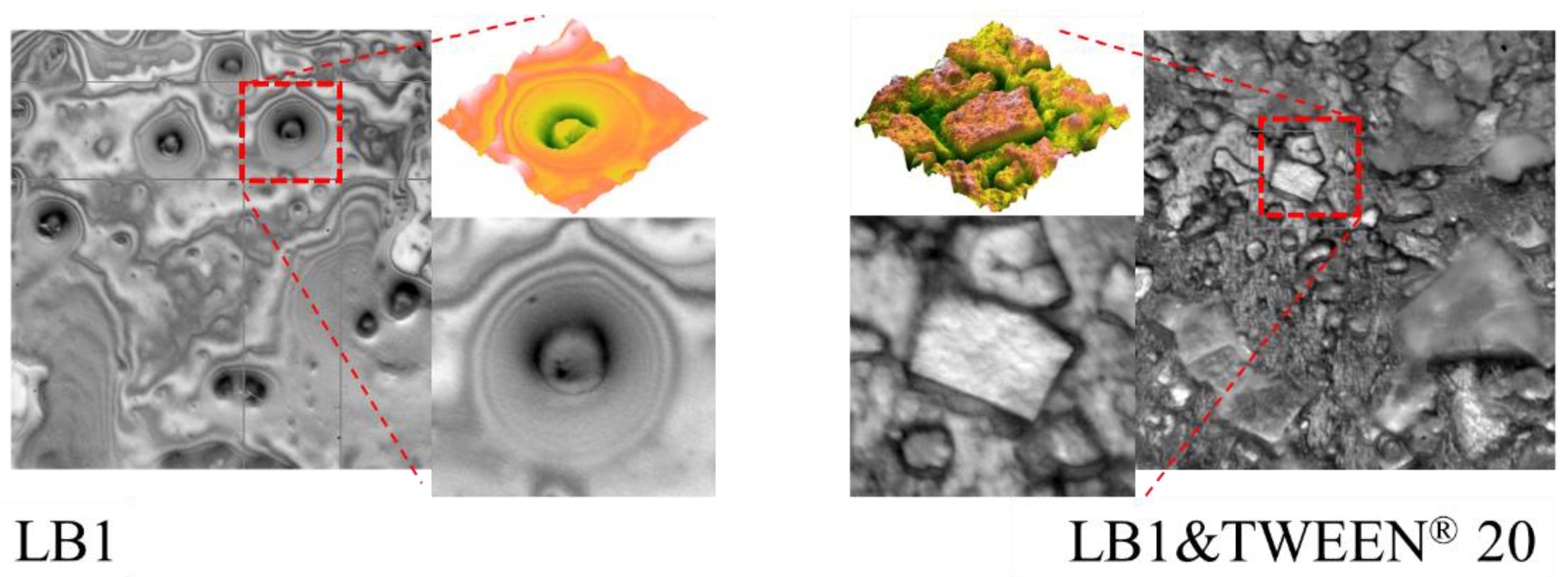 Engproc 27 00040 g002 Engproc 27 00040 g002