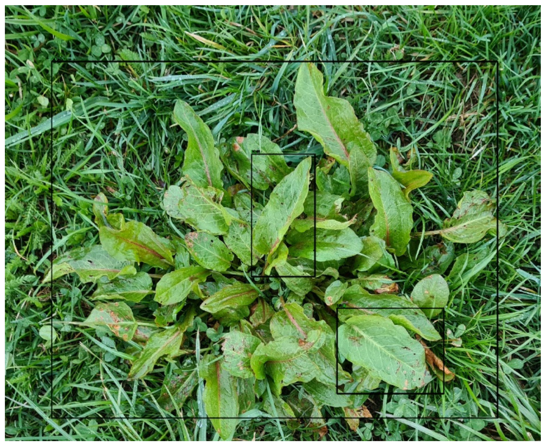 Engproc 27 00087 g002