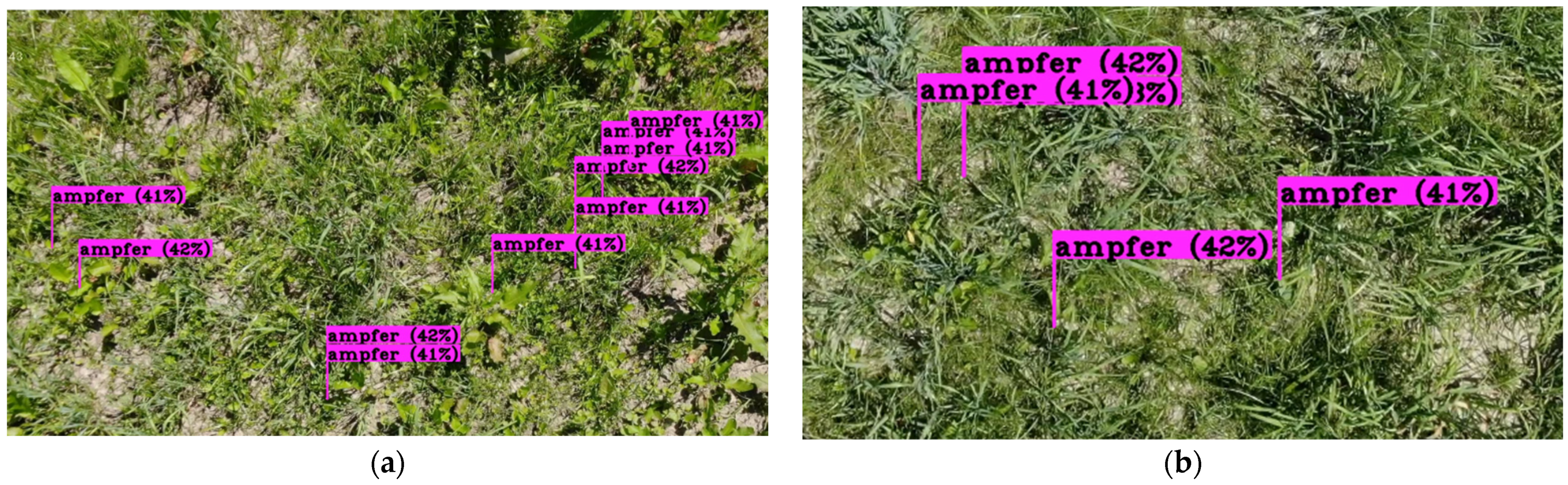 Engproc 27 00087 g006