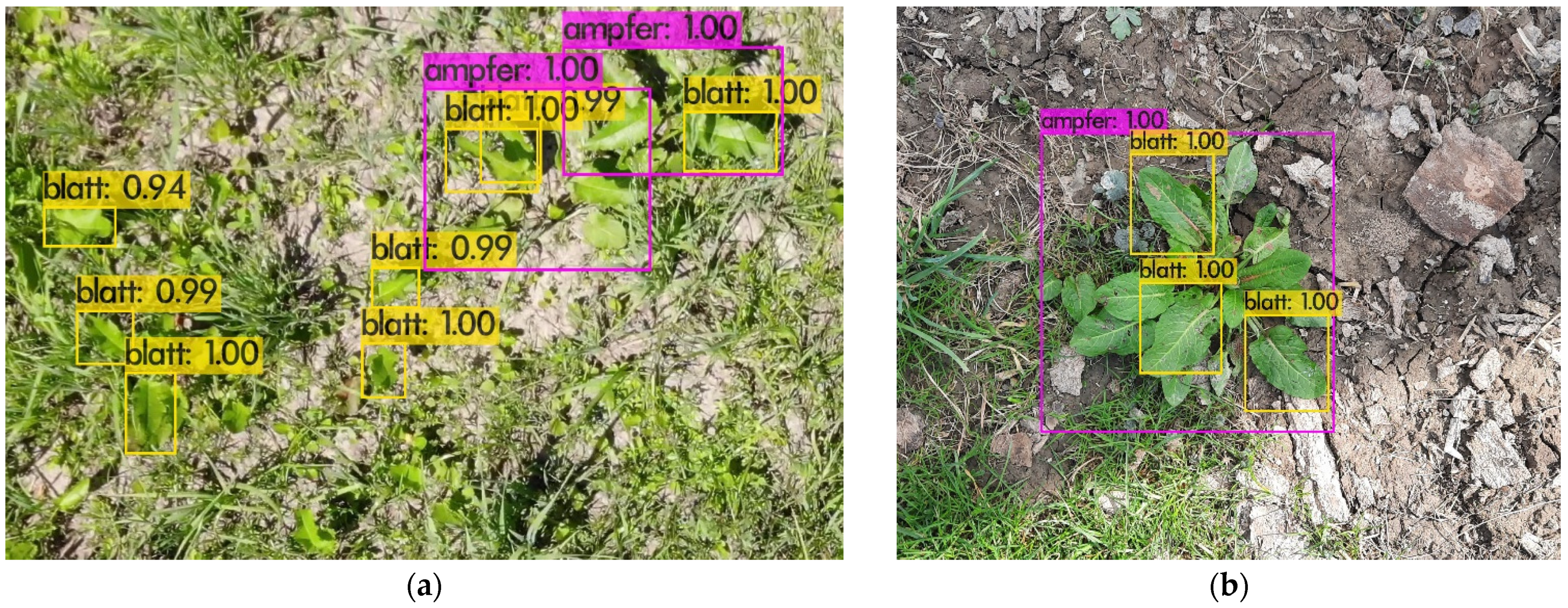 Engproc 27 00087 g007