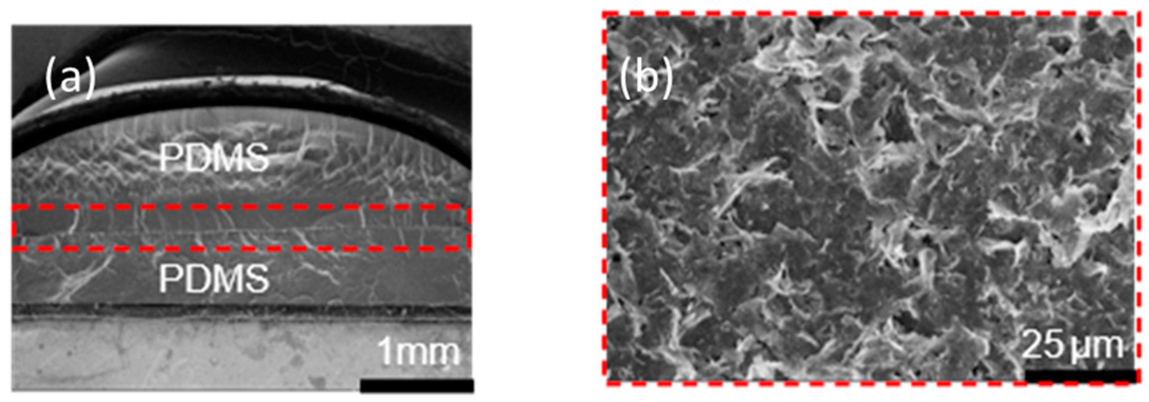 Engproc 30 00019 g003 Engproc 30 00019 g003