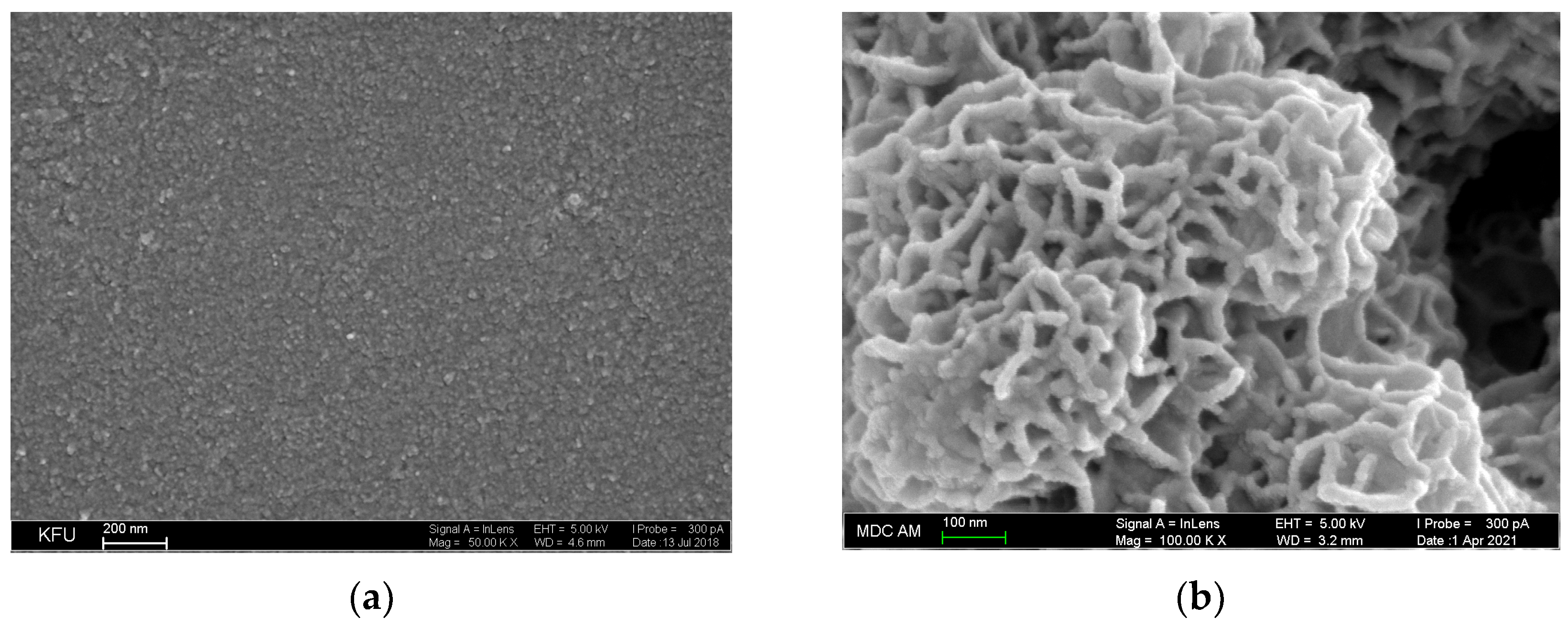 Engproc 31 00012 g001