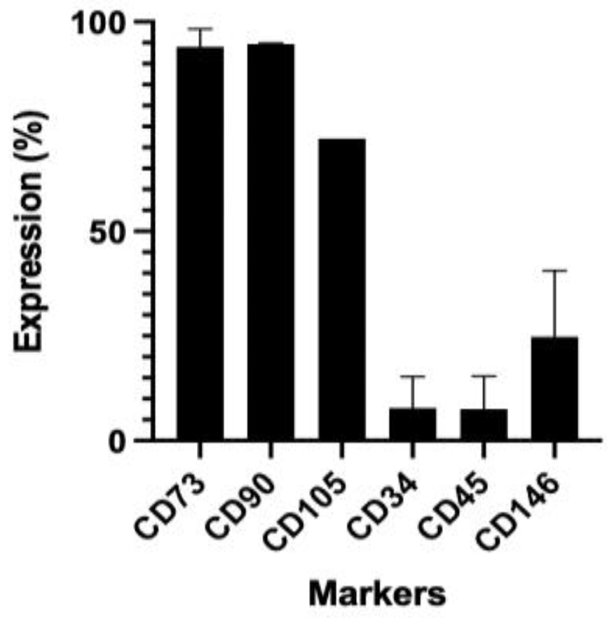 Engproc 31 00038 g001