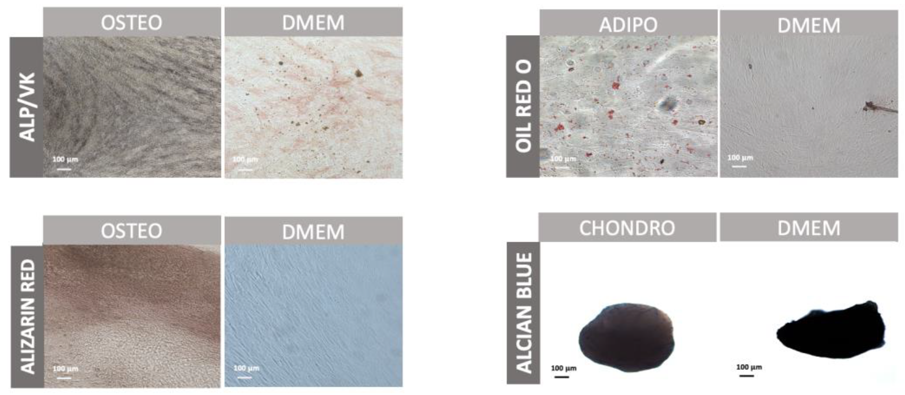 Engproc 31 00038 g002