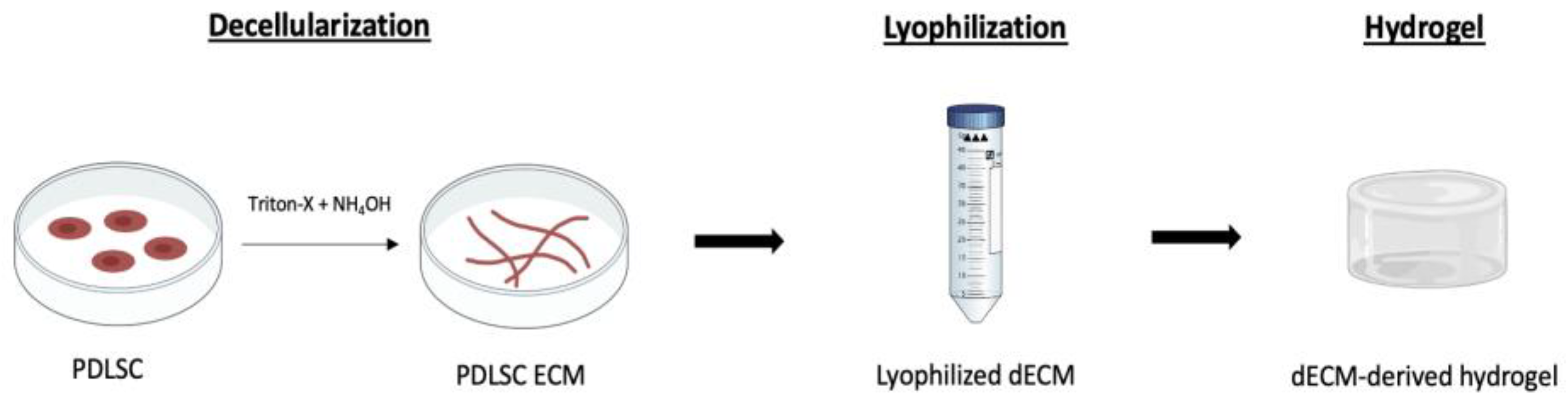 Engproc 31 00038 g003