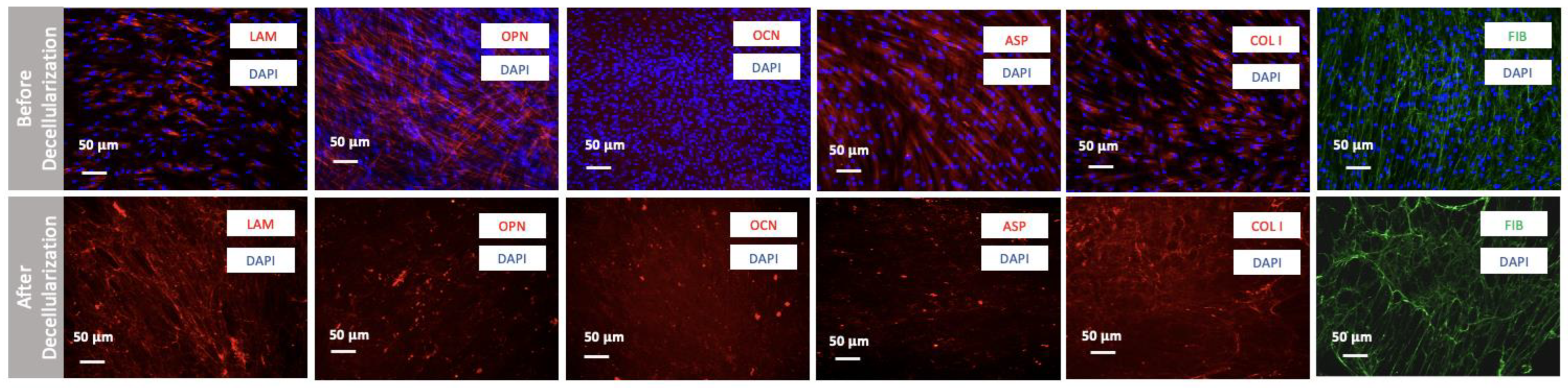 Engproc 31 00038 g004