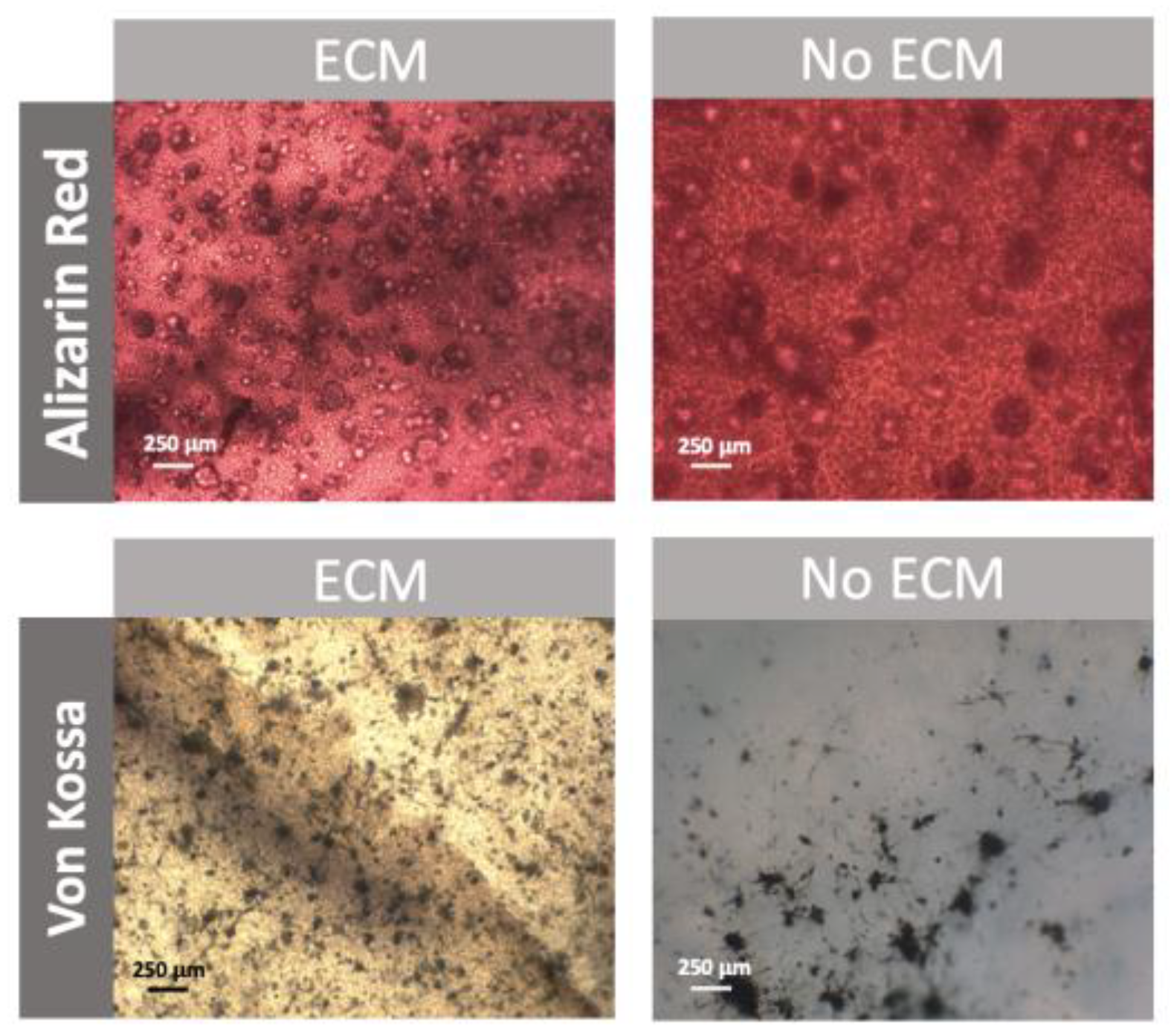 Engproc 31 00038 g006