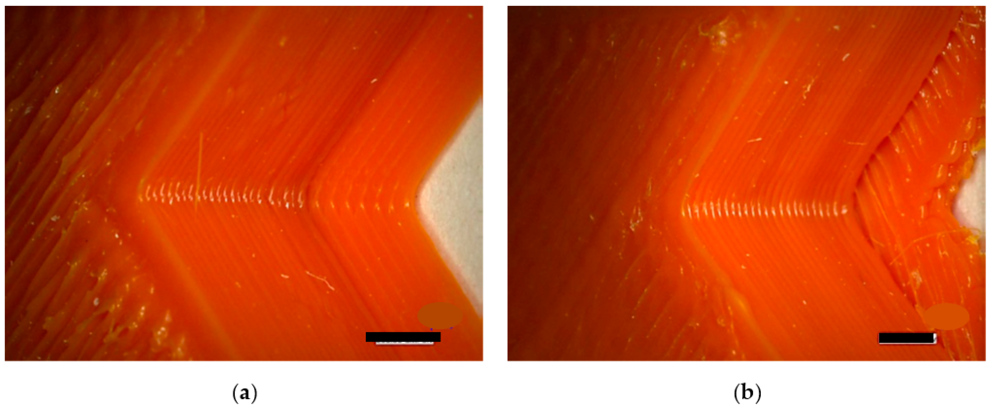 Engproc 31 00040 g002