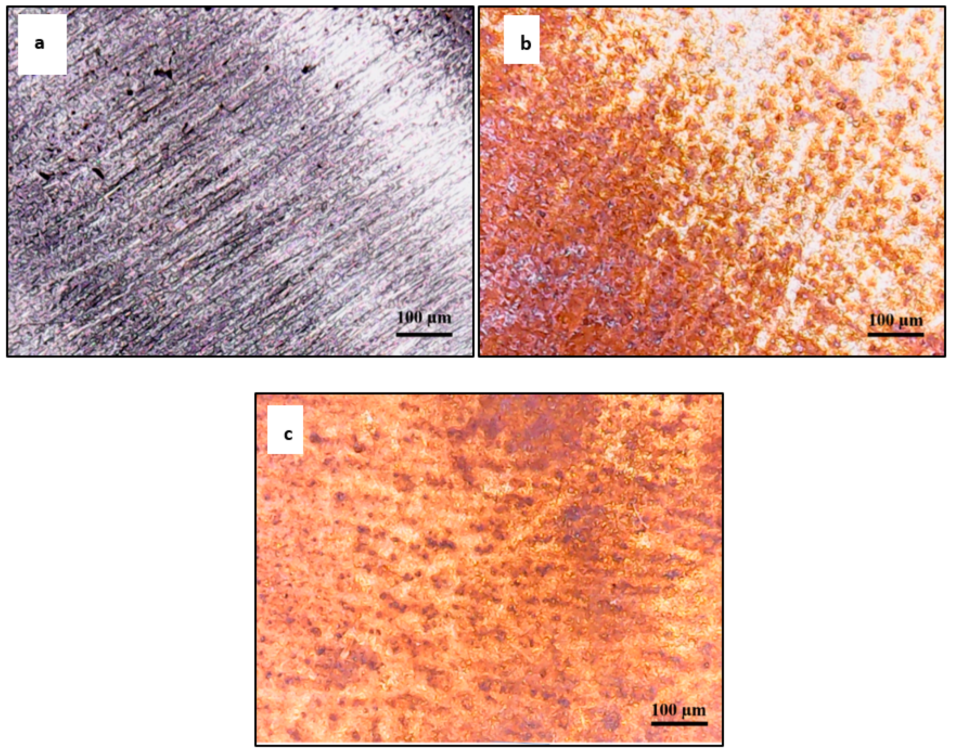 Engproc 31 00041 g004