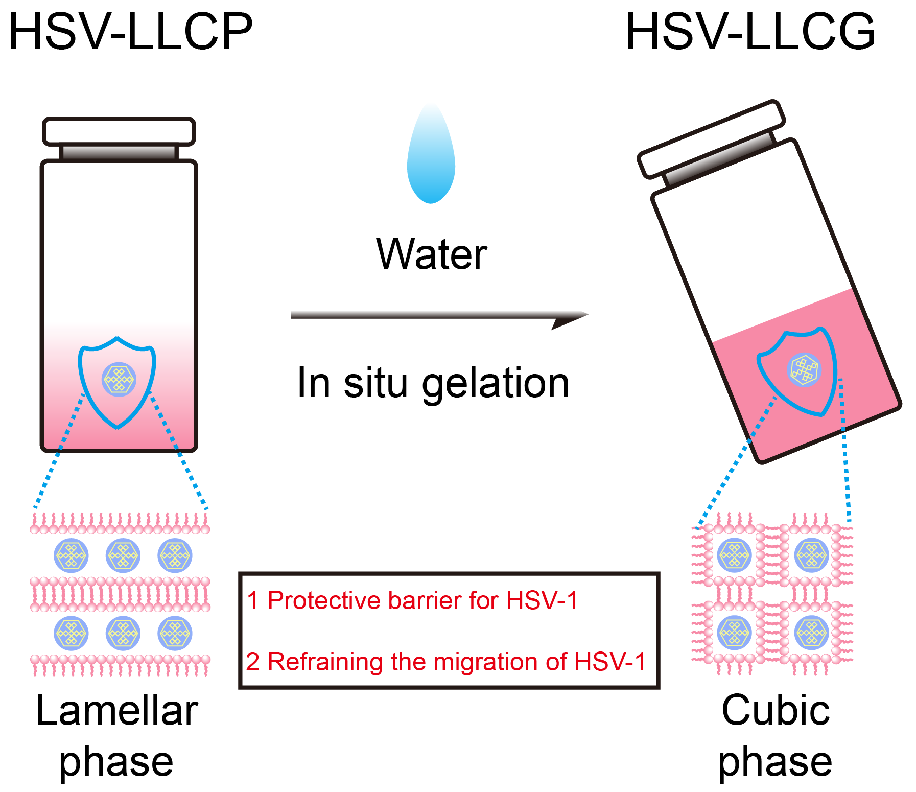 Engproc 31 00045 g001