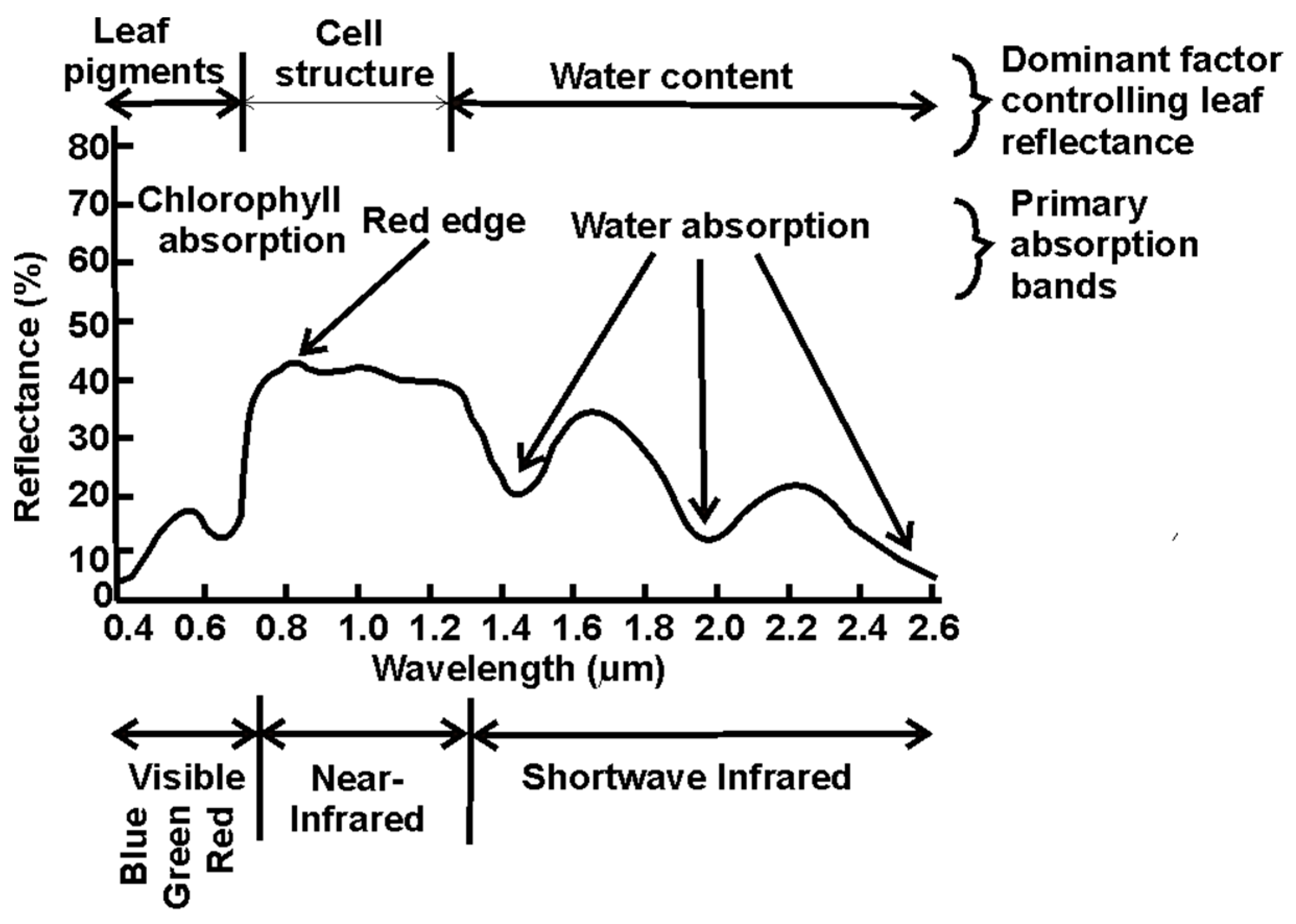 Engproc 31 00047 g001