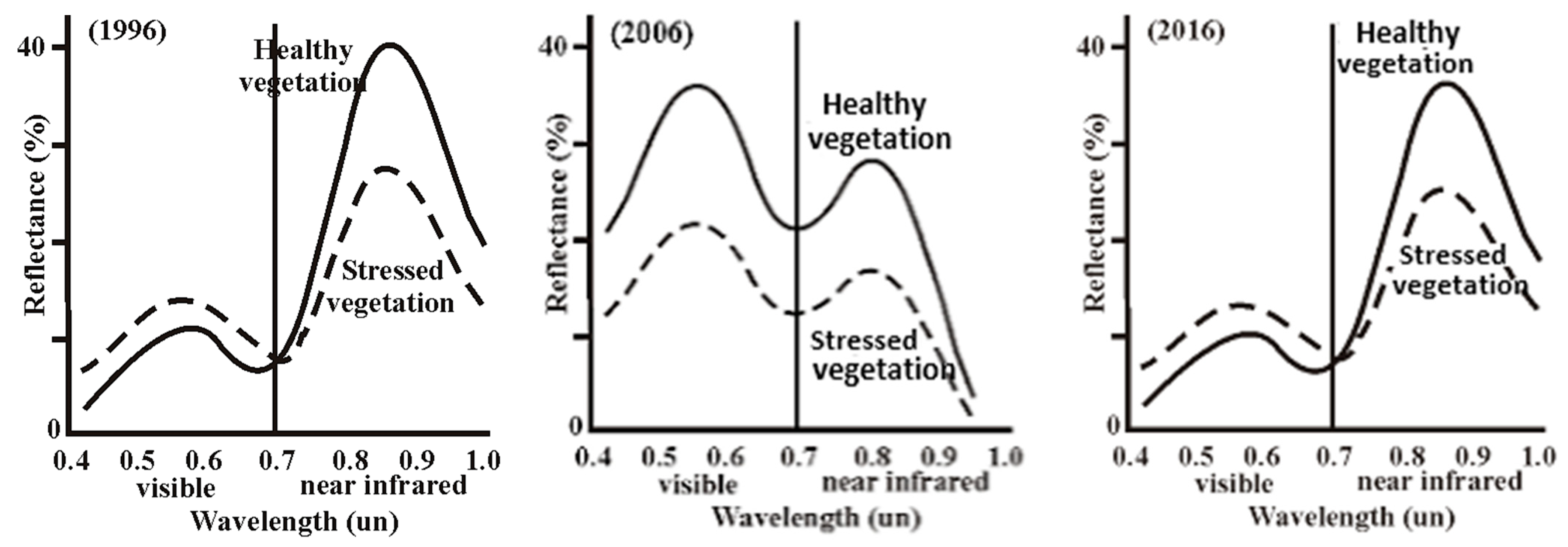 Engproc 31 00047 g003