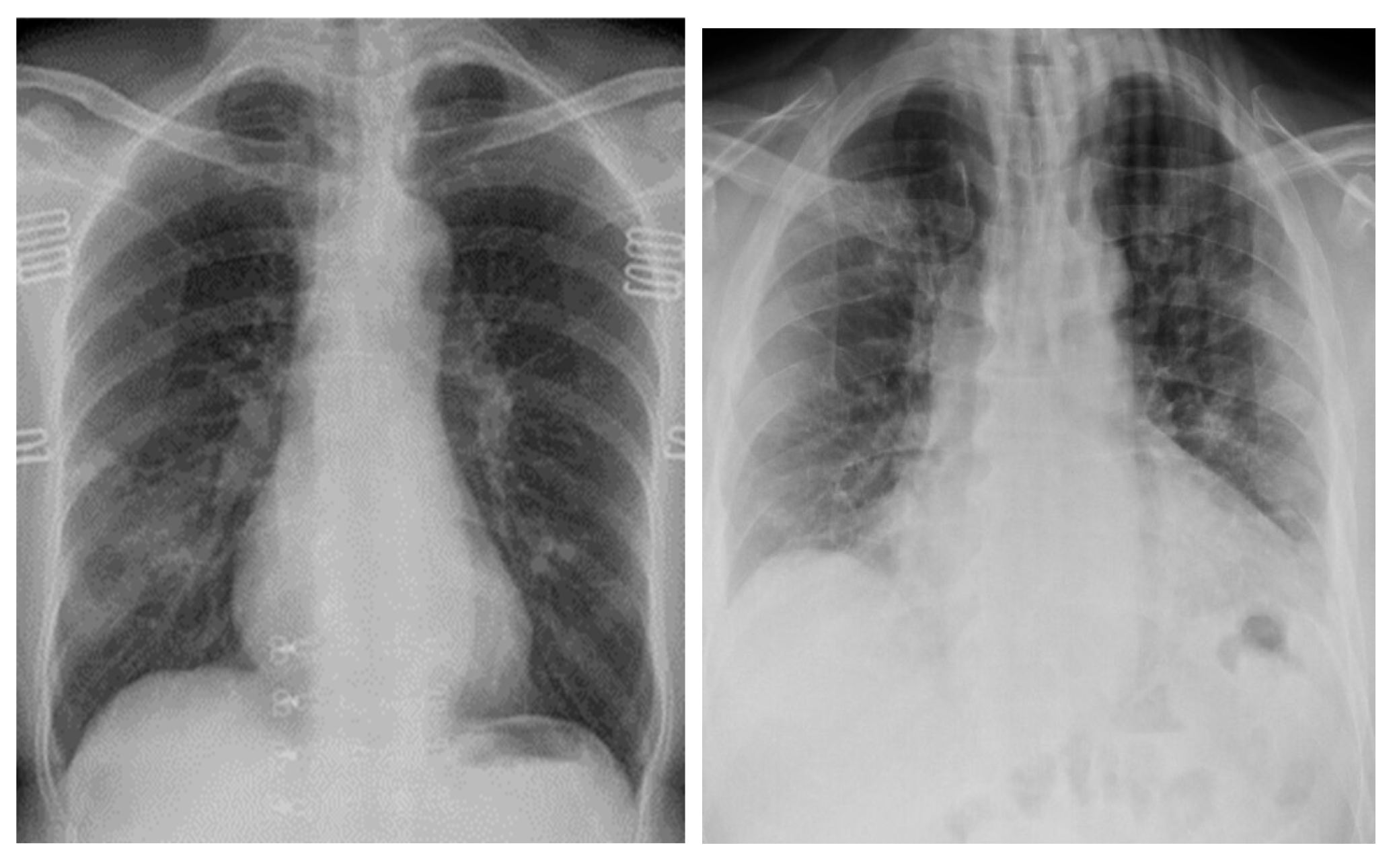 Engproc 31 00084 g001