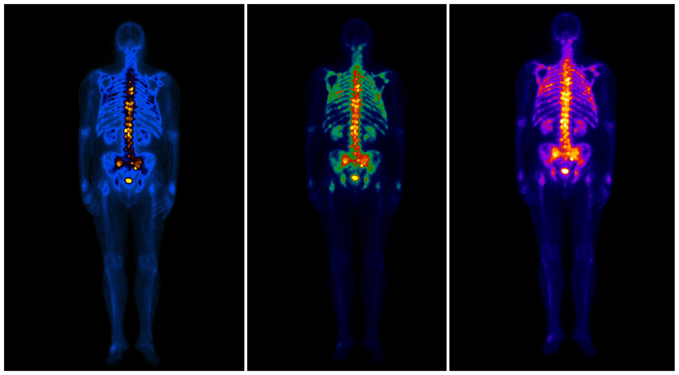 Engproc 33 00005 g002