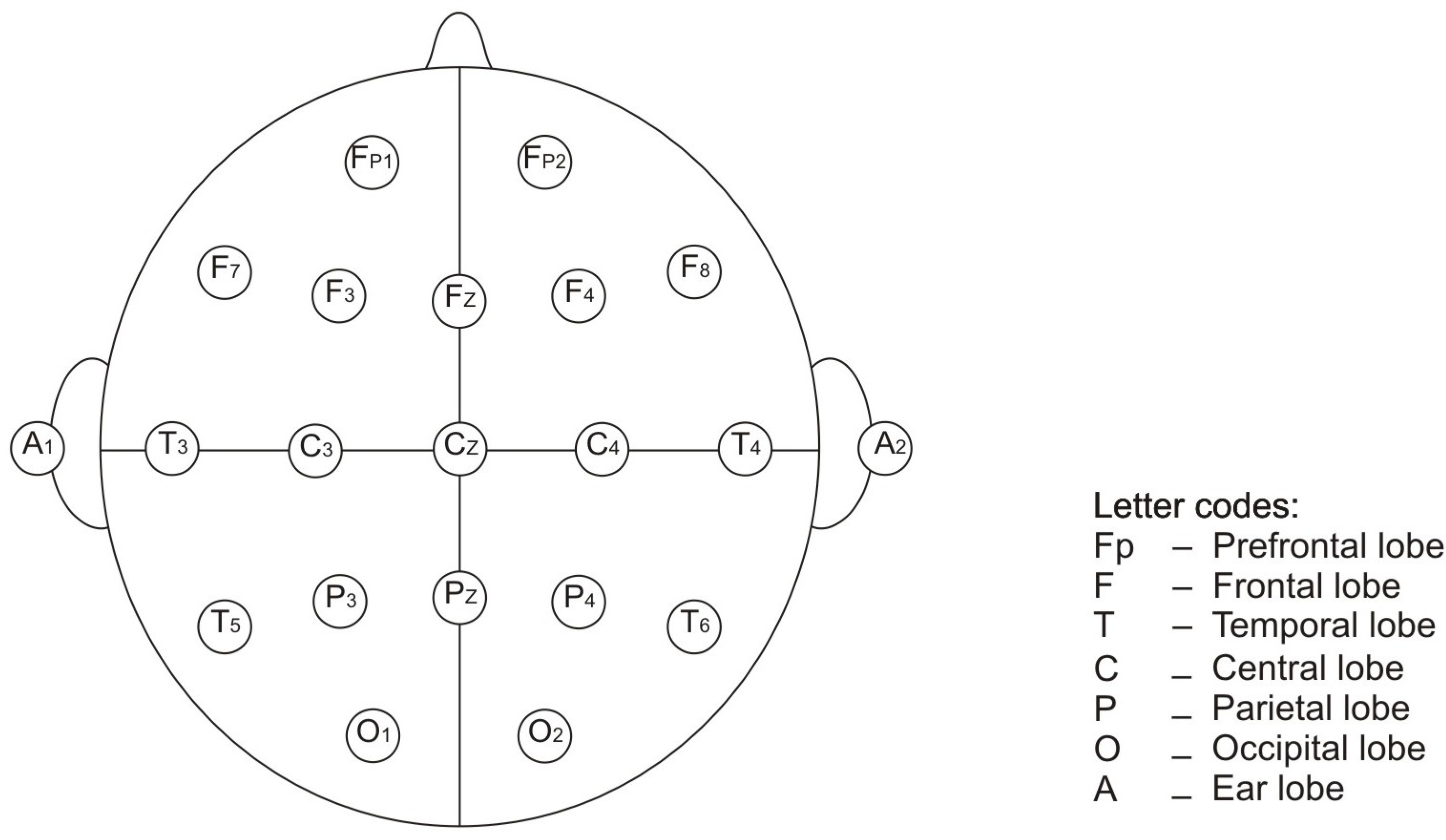 Engproc 33 00025 g001