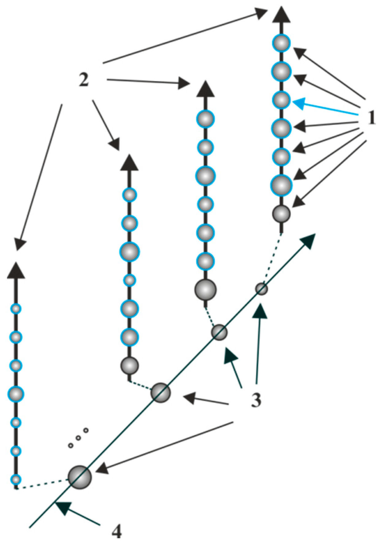 Engproc 33 00045 g003