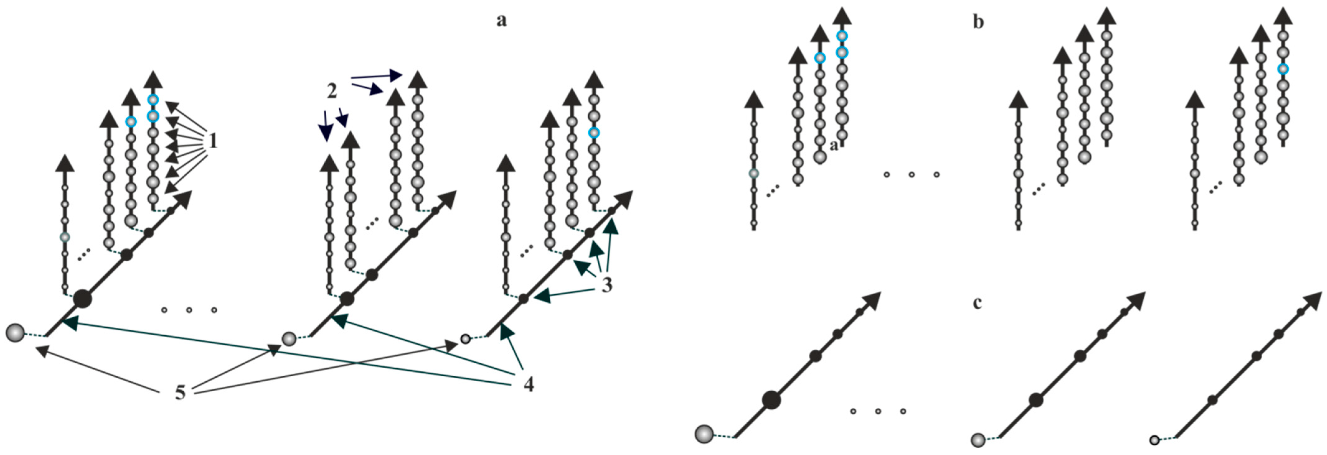 Engproc 33 00045 g004