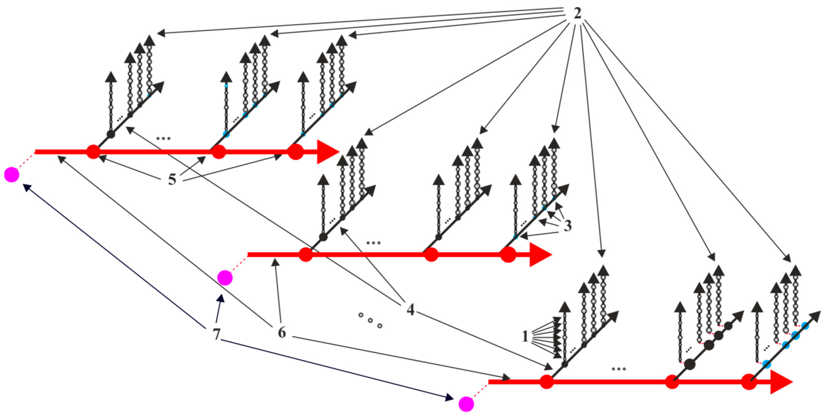 Engproc 33 00045 g005
