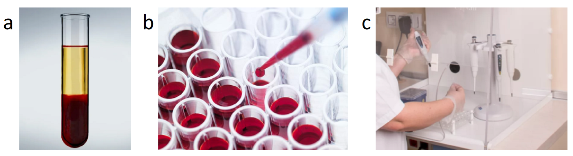 Engproc 33 00056 g001