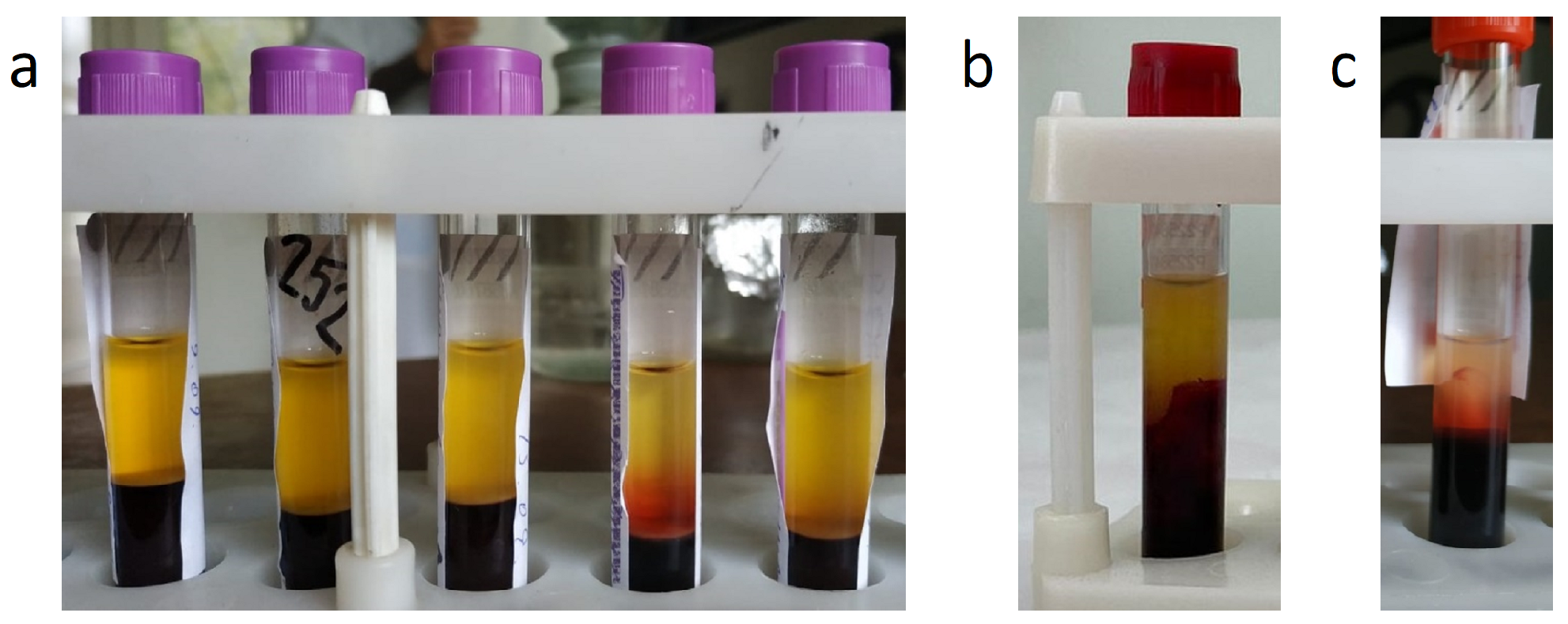 Engproc 33 00056 g003