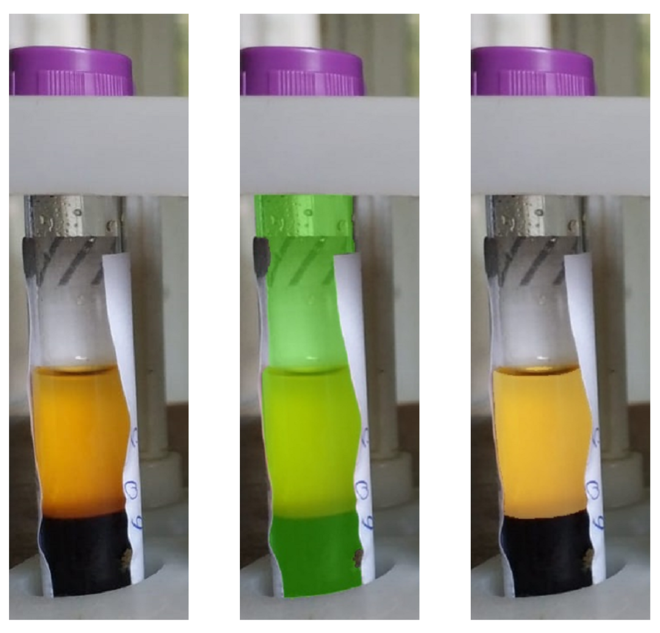 Engproc 33 00056 g010