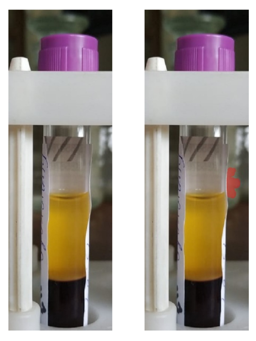 Engproc 33 00056 g011