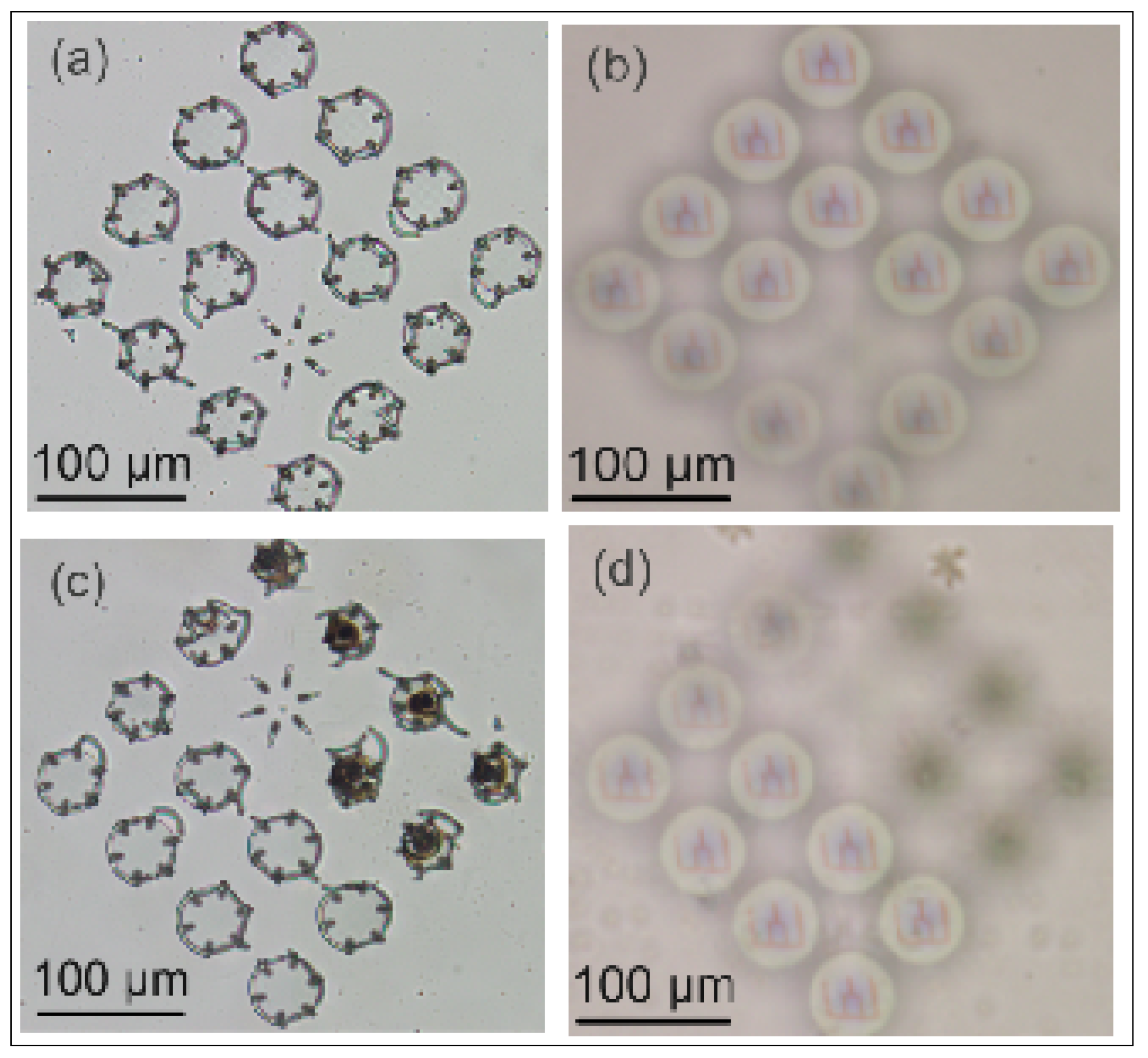 Engproc 34 00020 g002