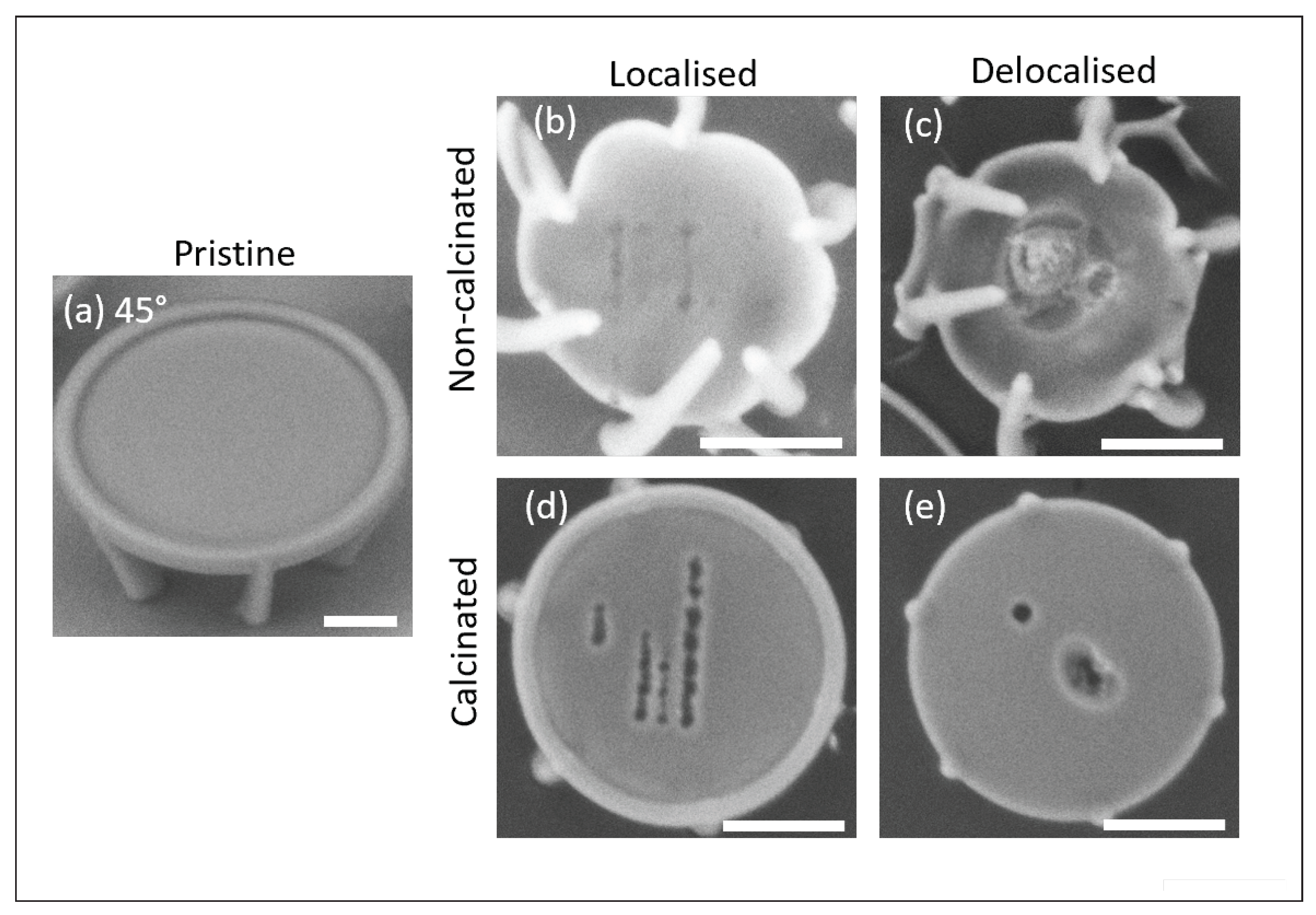 Engproc 34 00020 g003