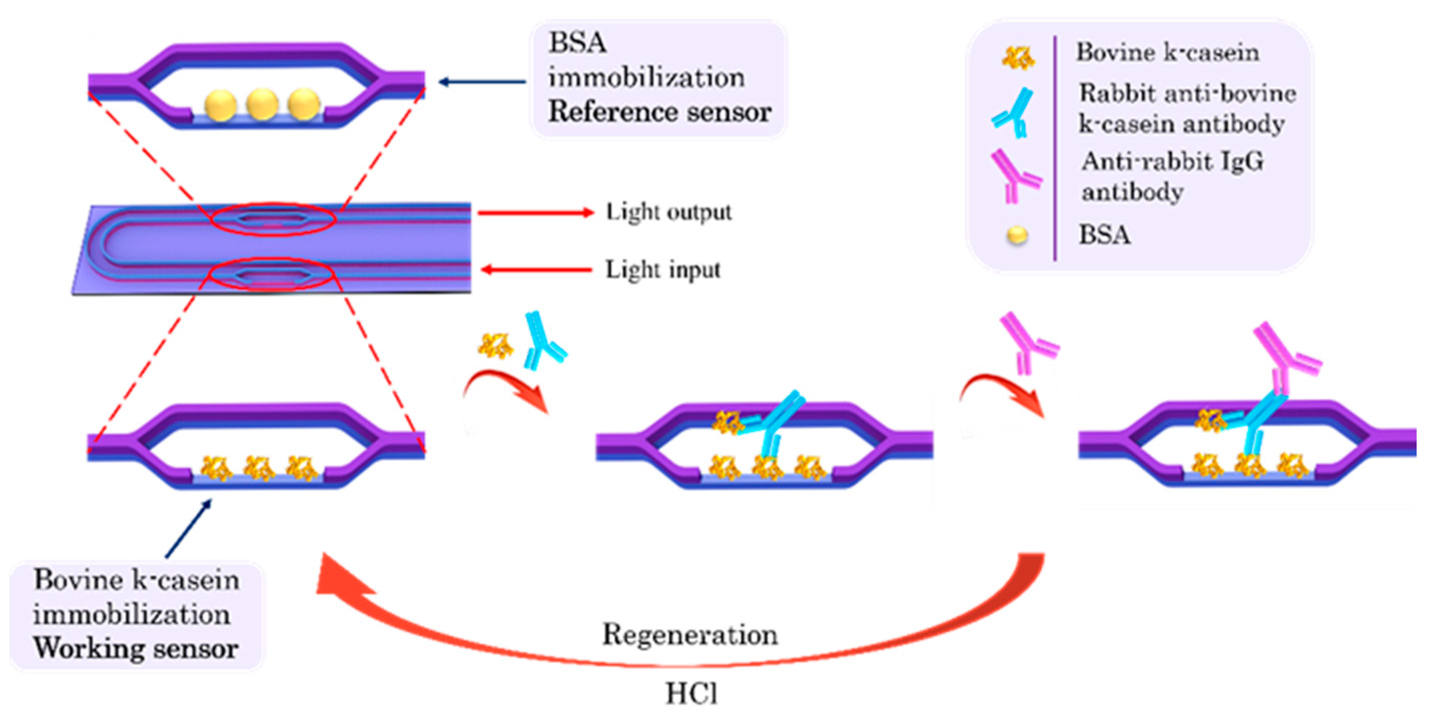 Engproc 35 00005 g001