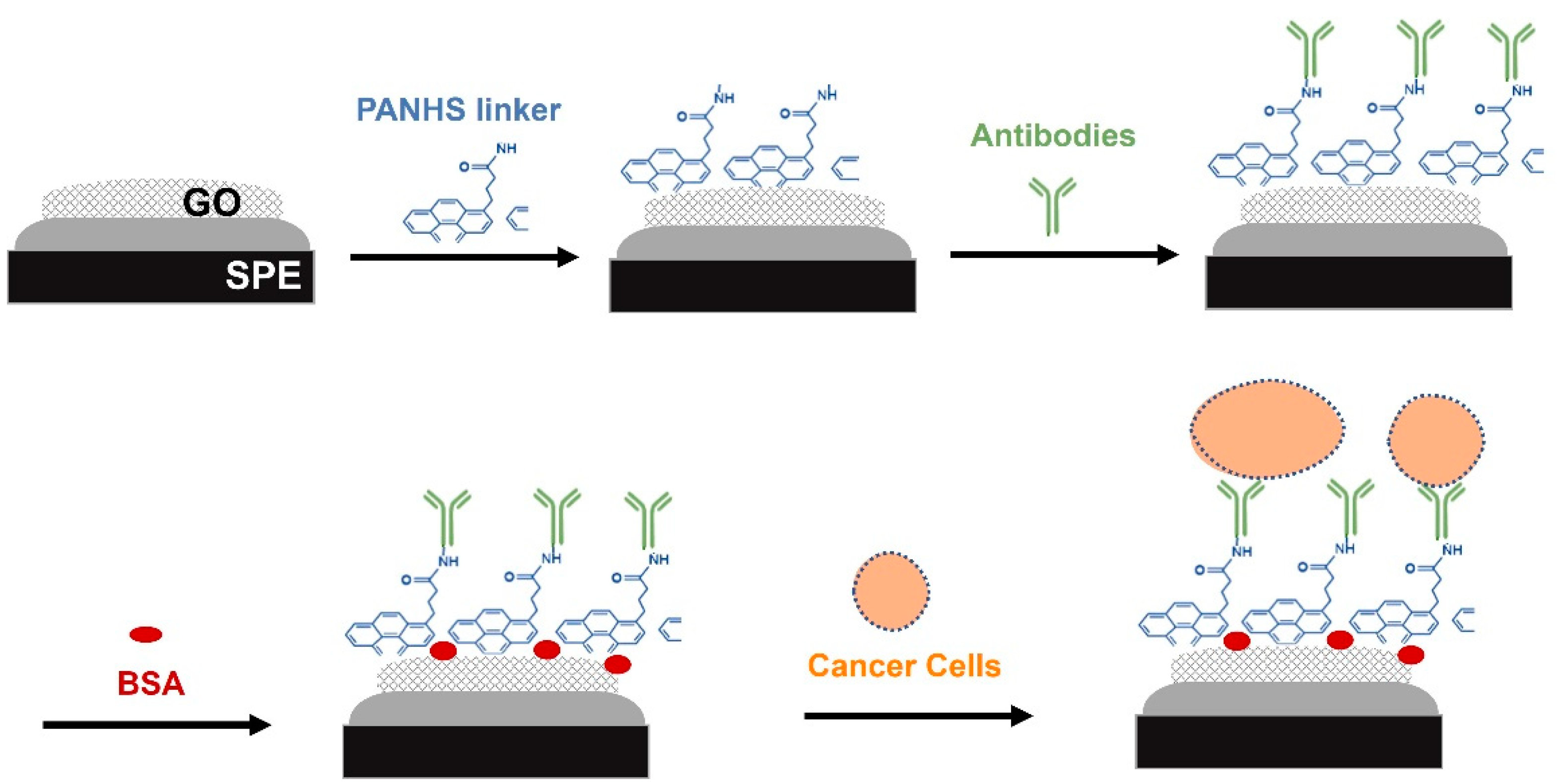 Engproc 35 00013 g001