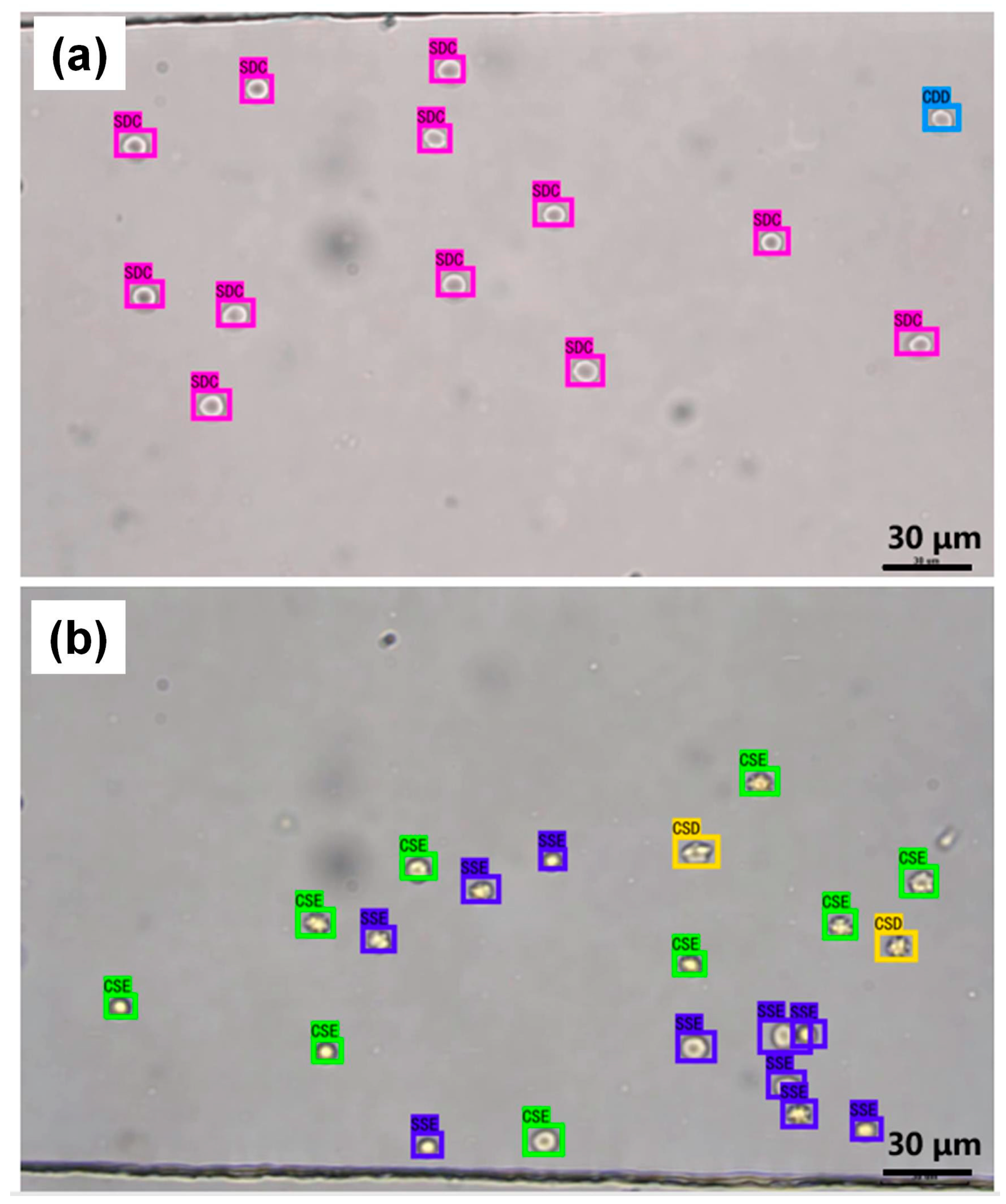 Engproc 35 00014 g002