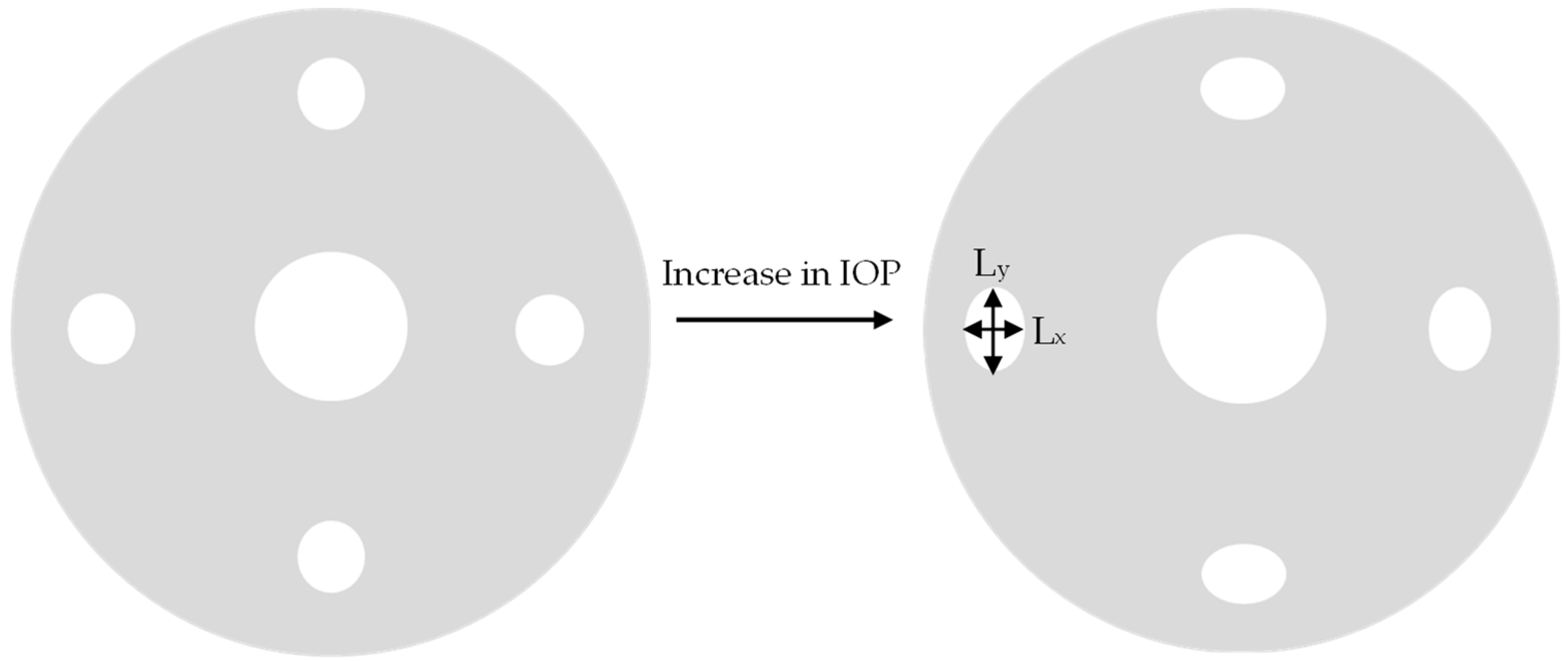 Engproc 35 00015 g001