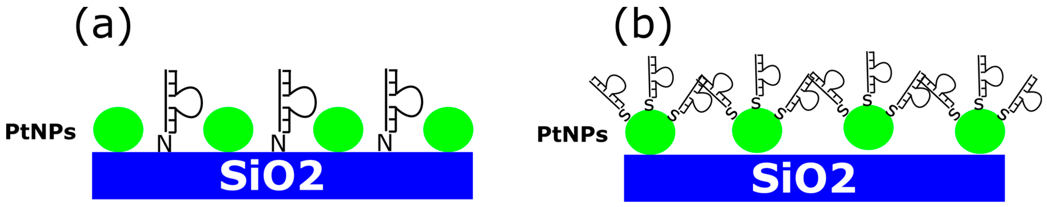 Engproc 35 00017 g001