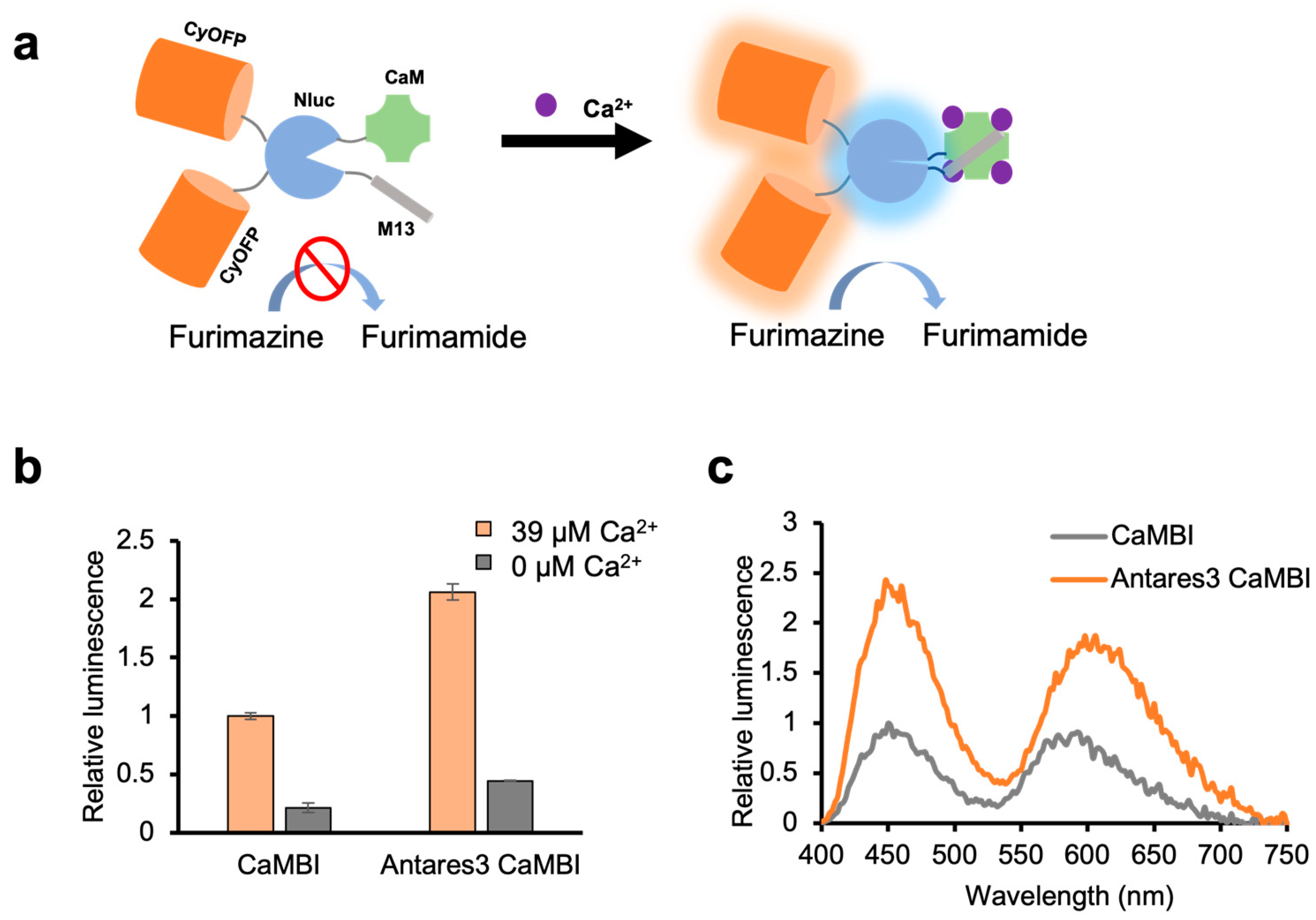 Engproc 35 00020 g001
