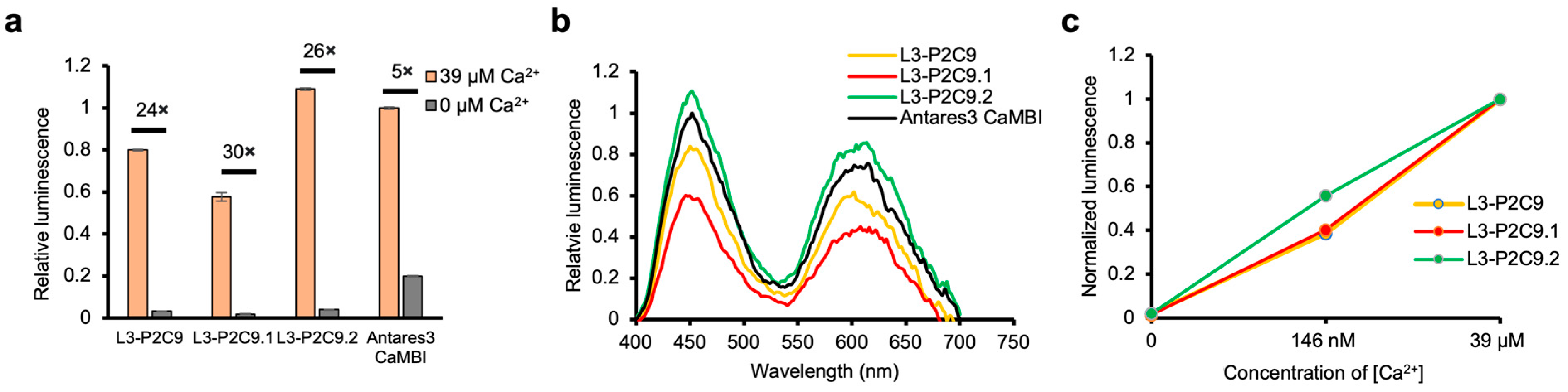 Engproc 35 00020 g003