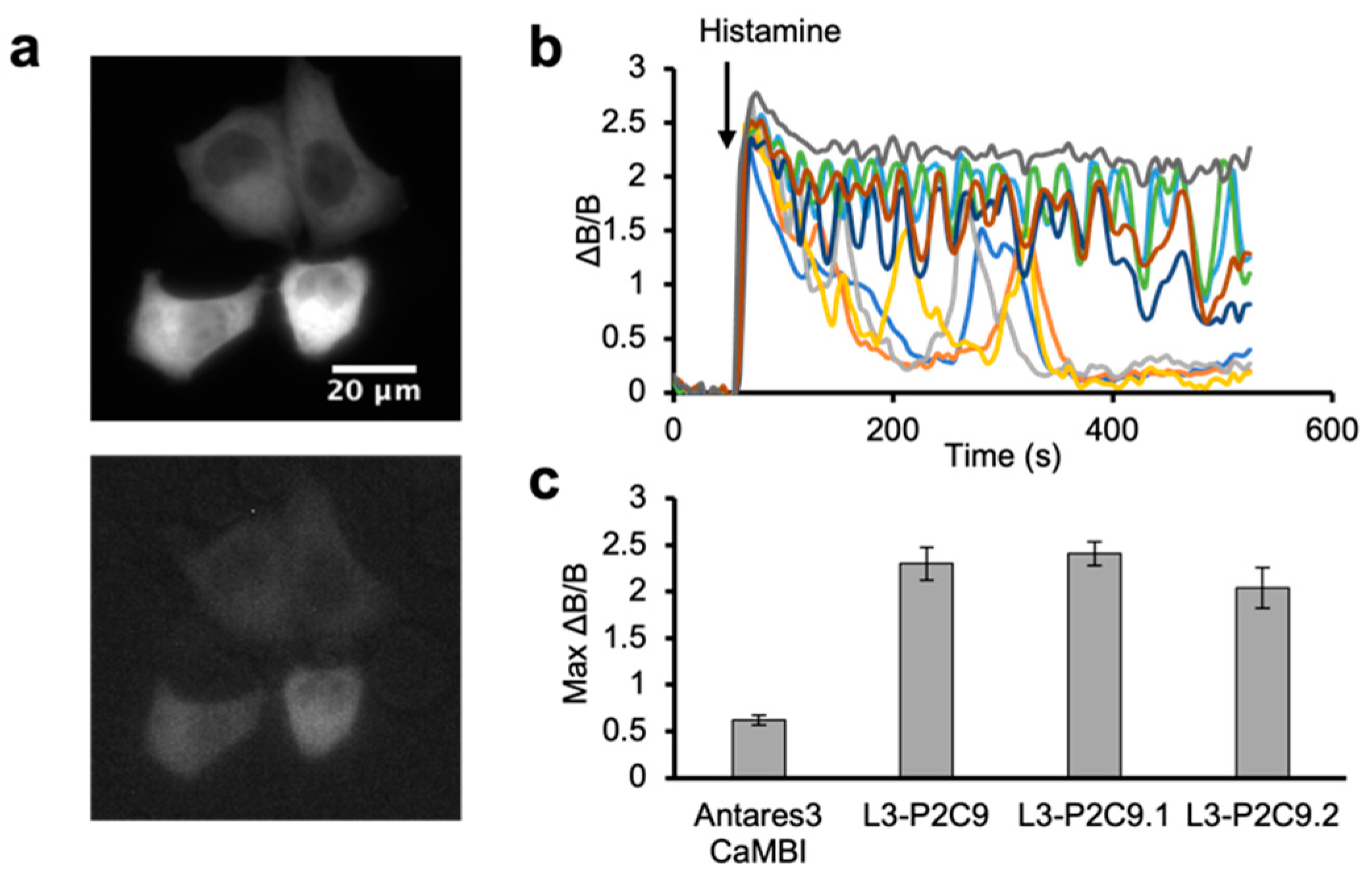 Engproc 35 00020 g004