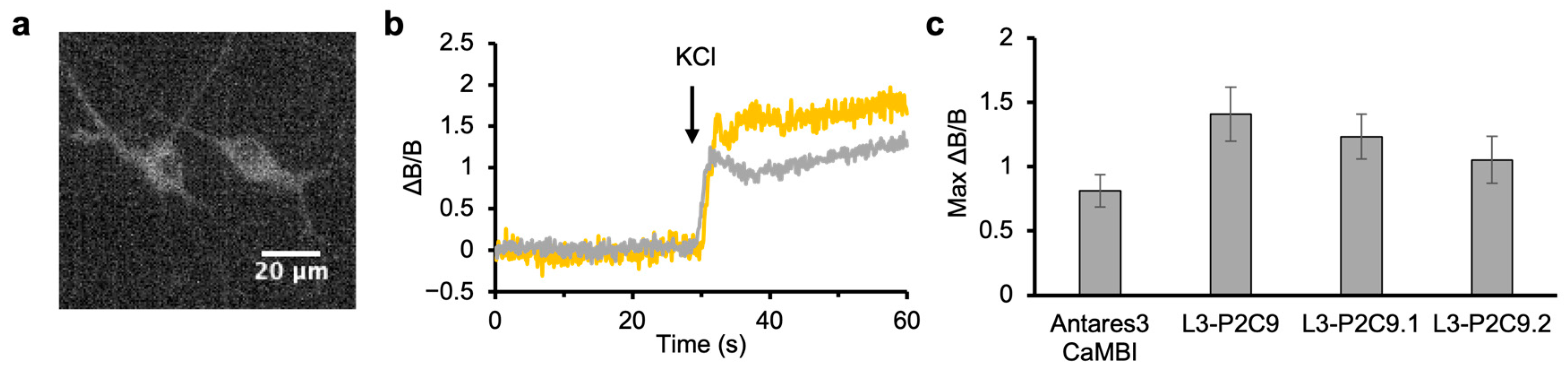 Engproc 35 00020 g005