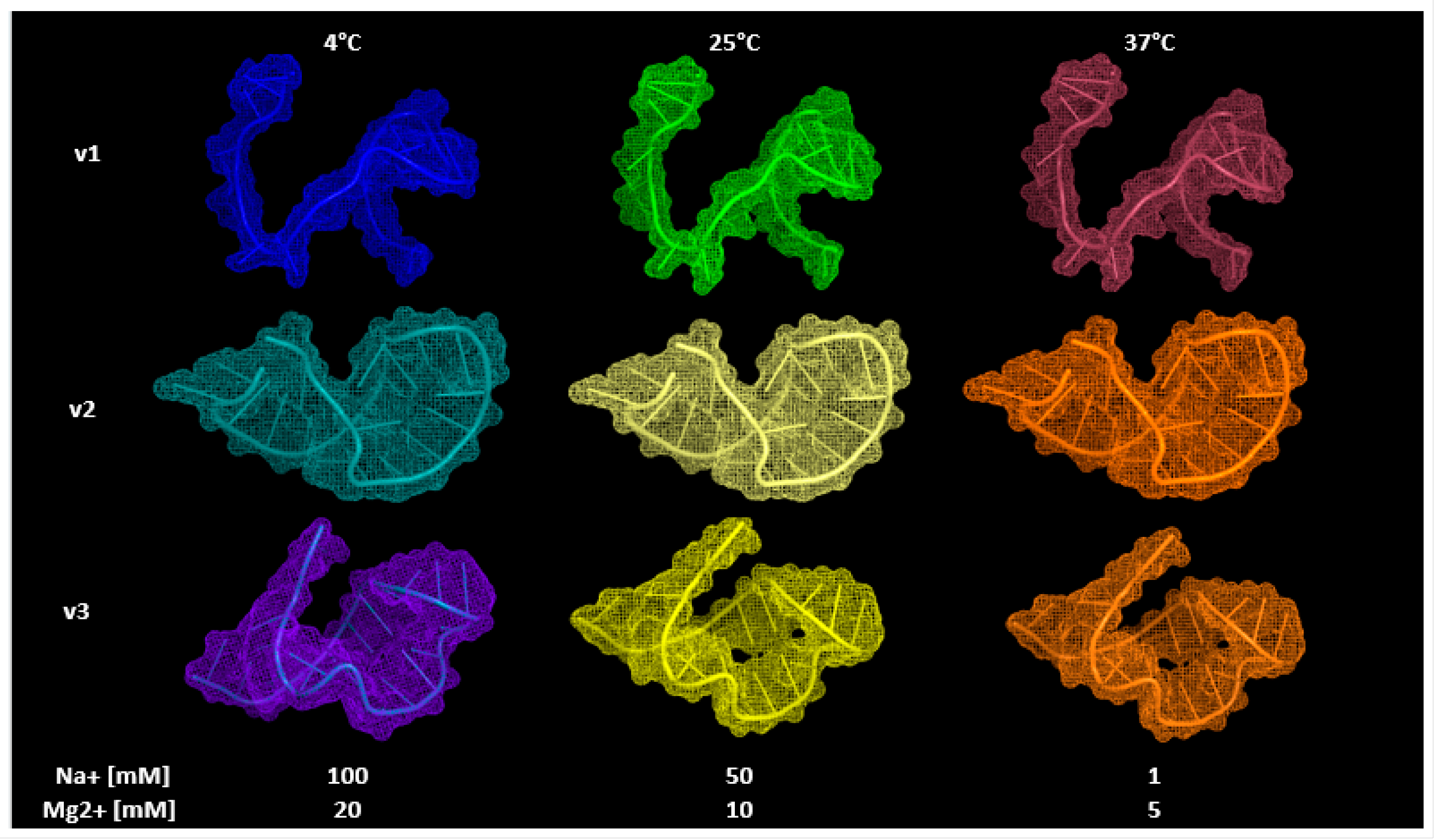 Engproc 35 00021 g002