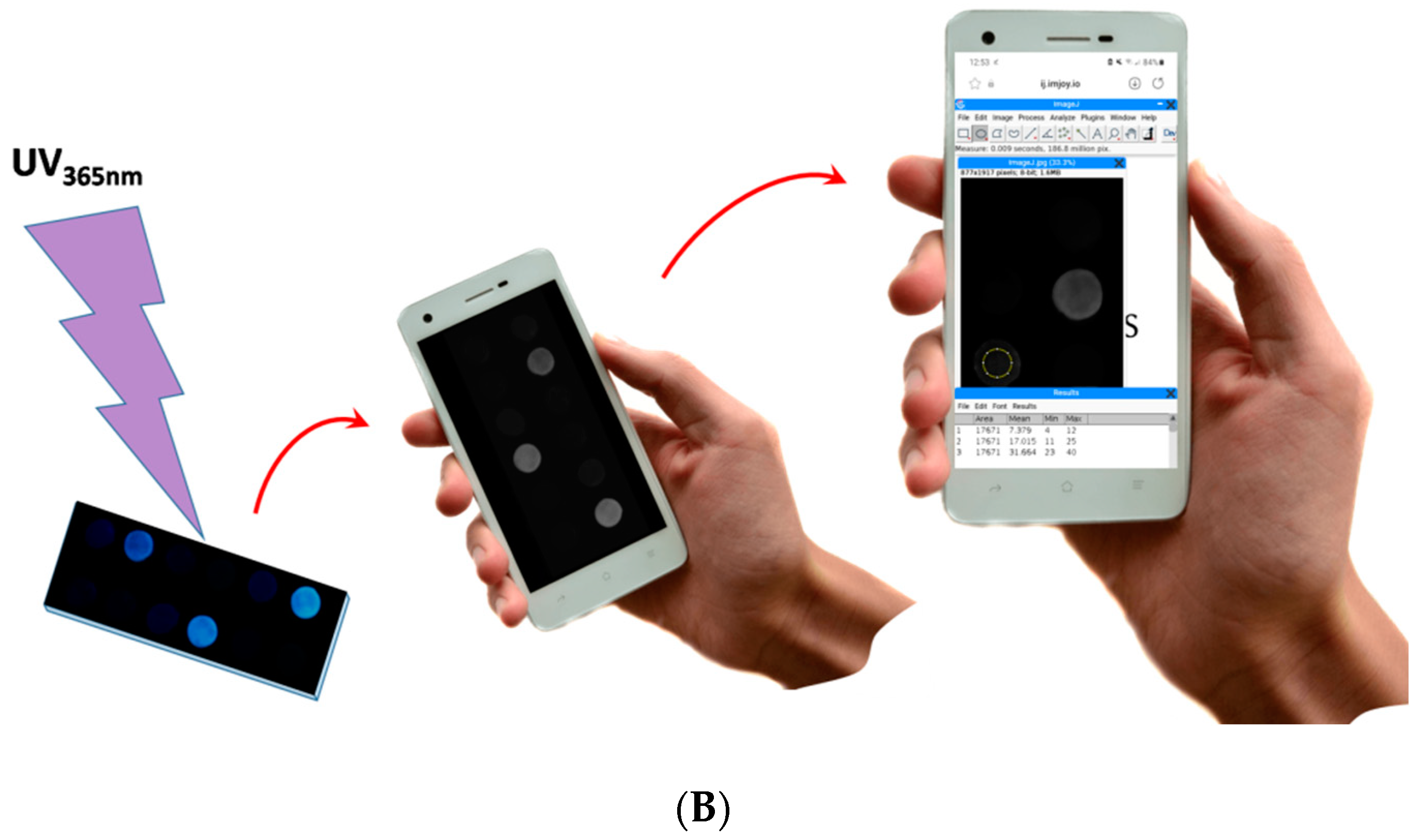 Engproc 35 00033 g001b