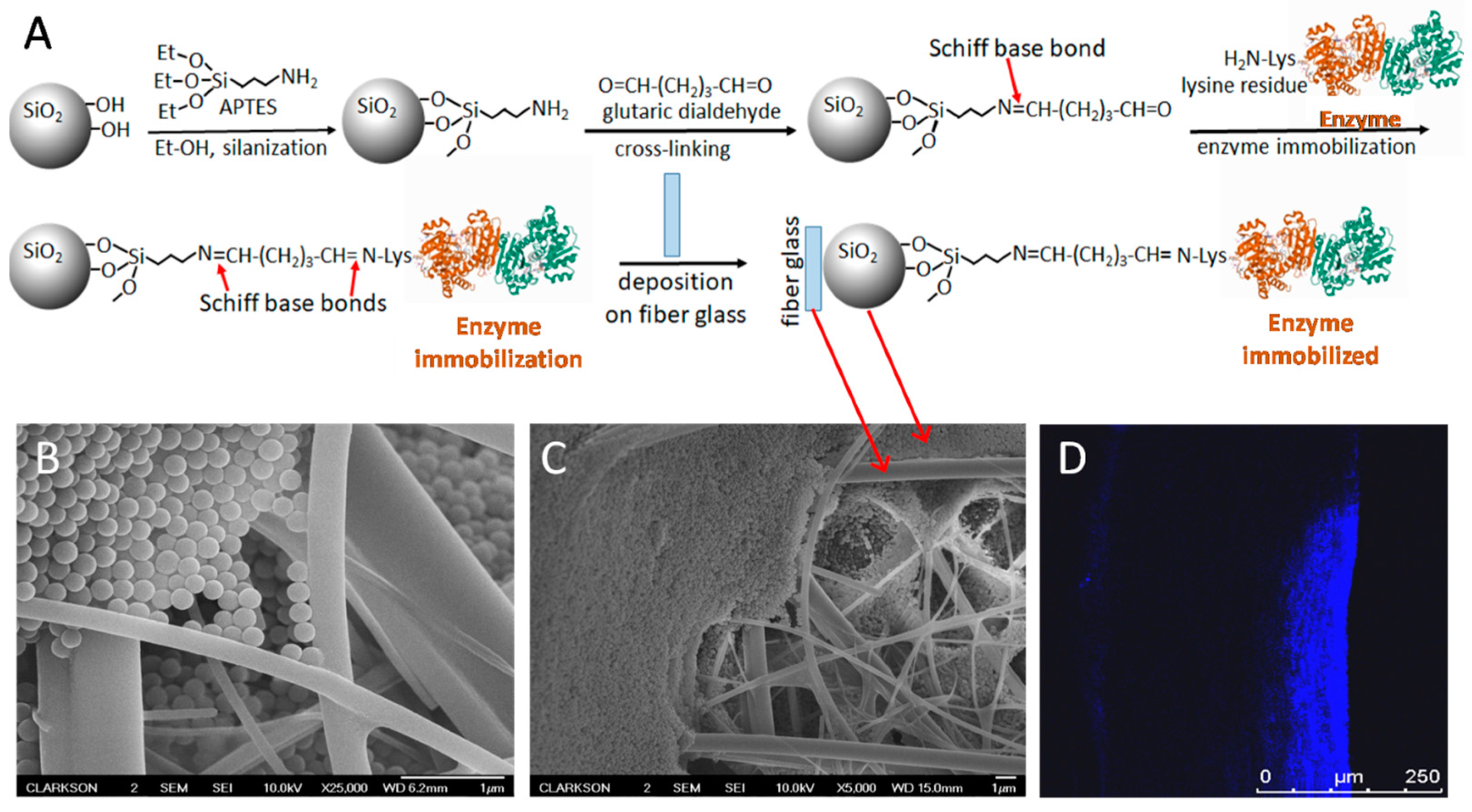 Engproc 35 00033 g003