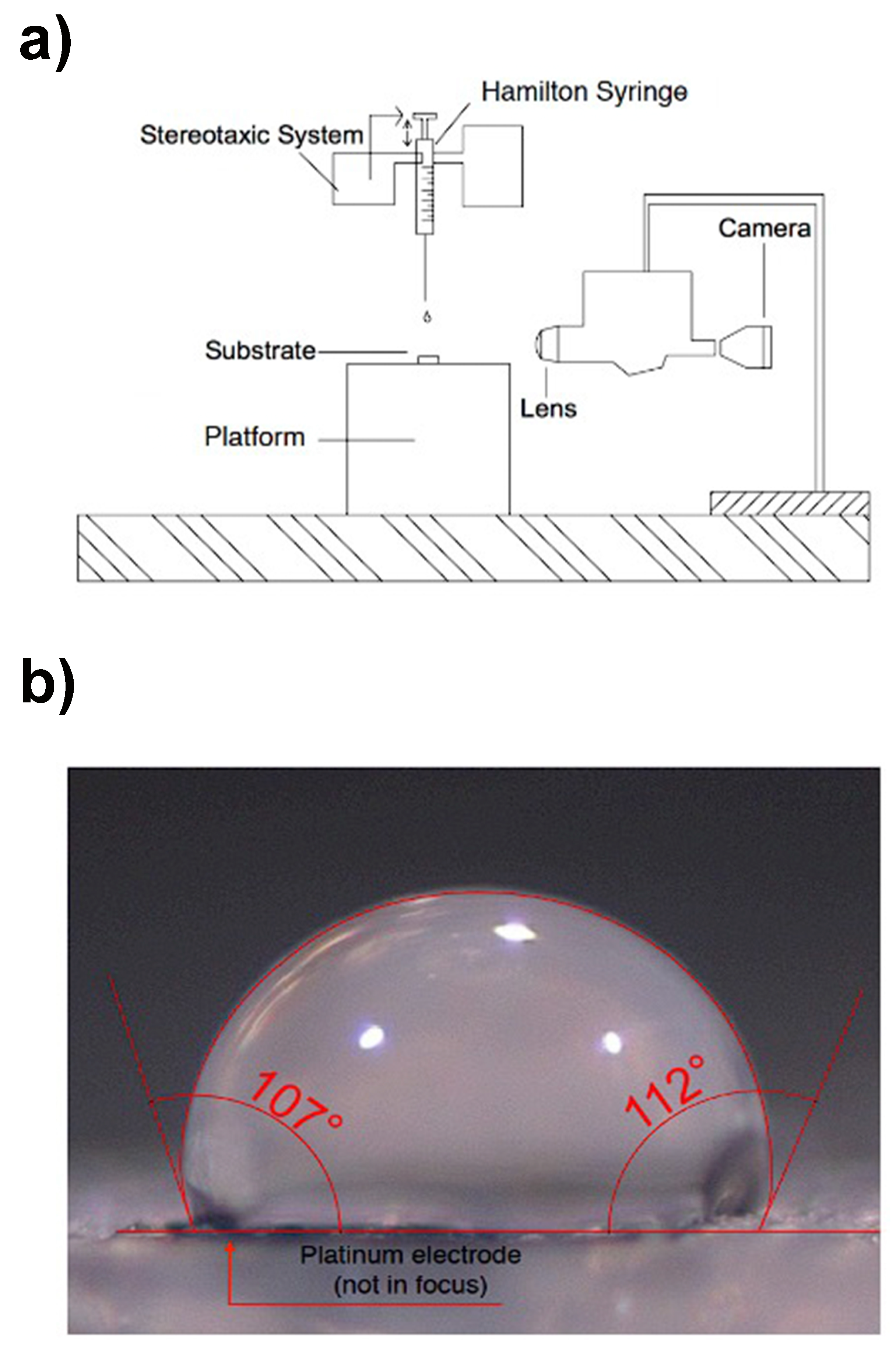 Engproc 35 00034 g001