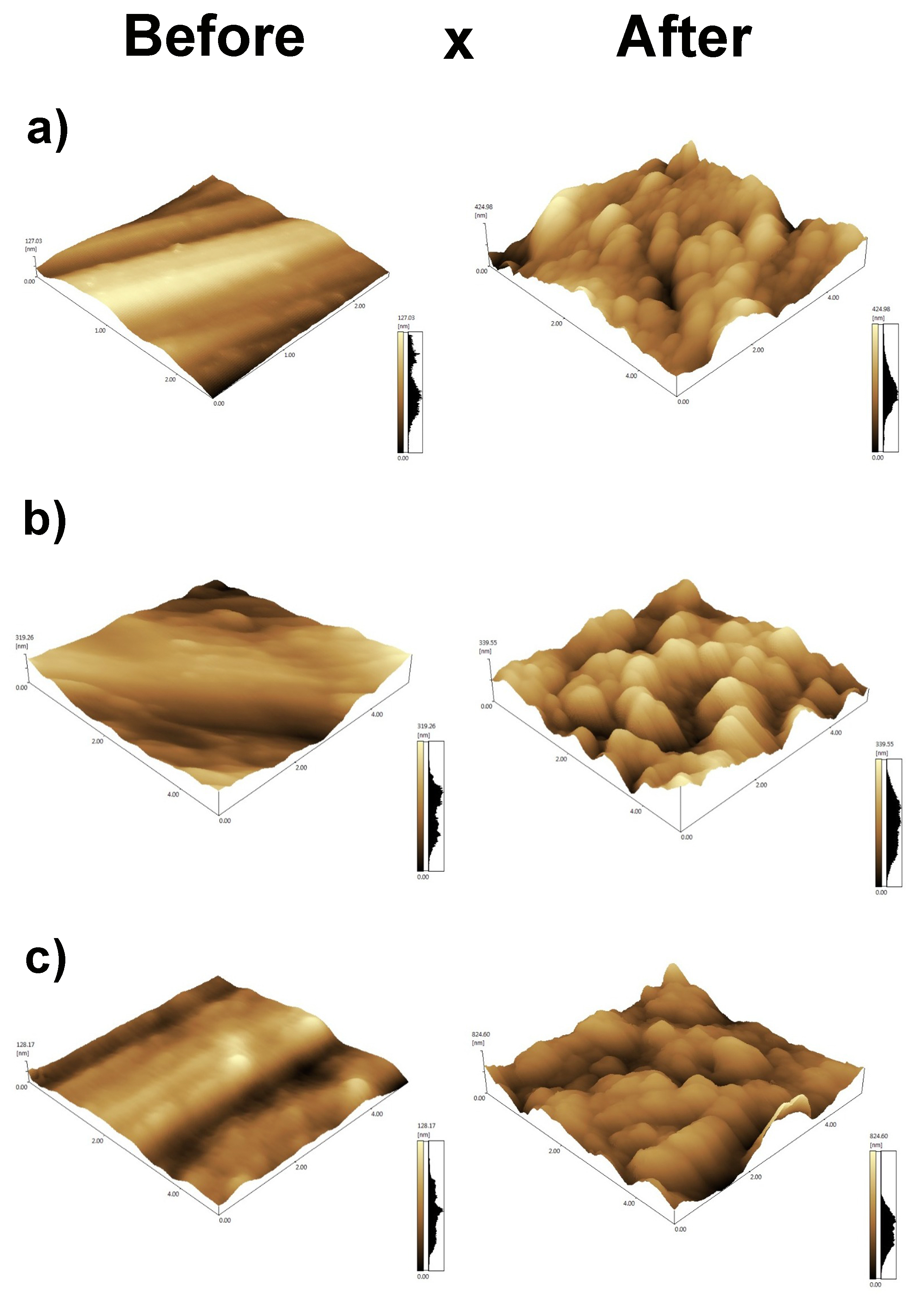 Engproc 35 00034 g003