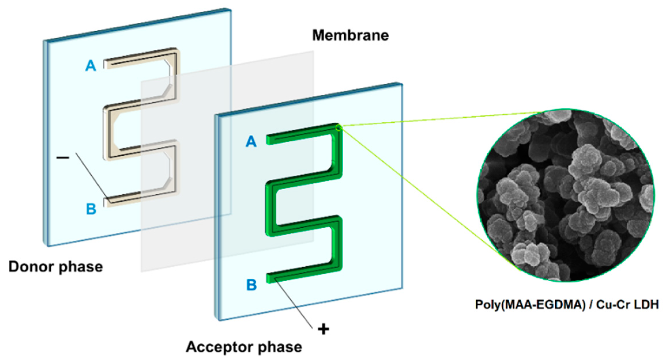 Engproc 35 00036 g001