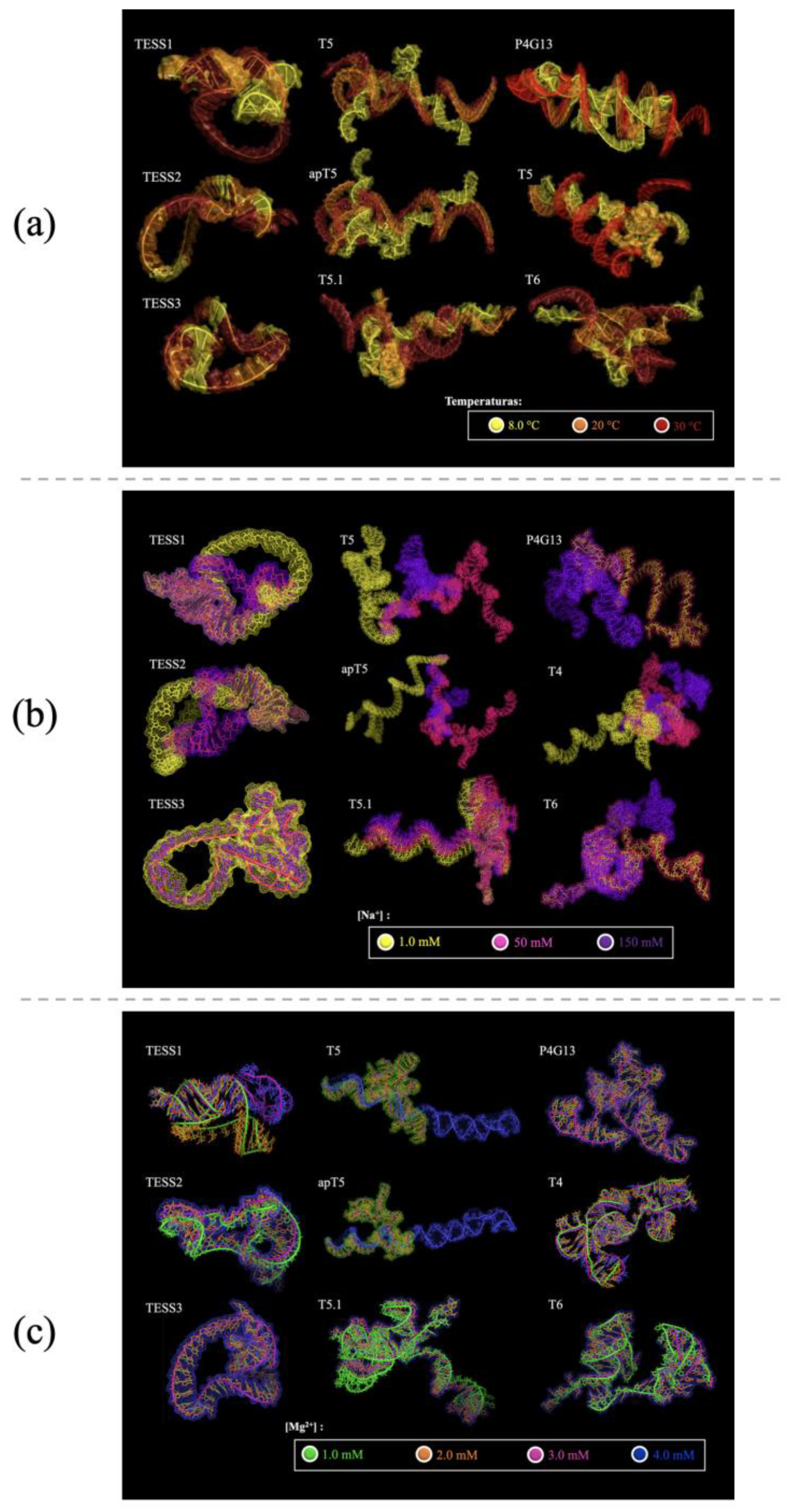 Engproc 35 00039 g001
