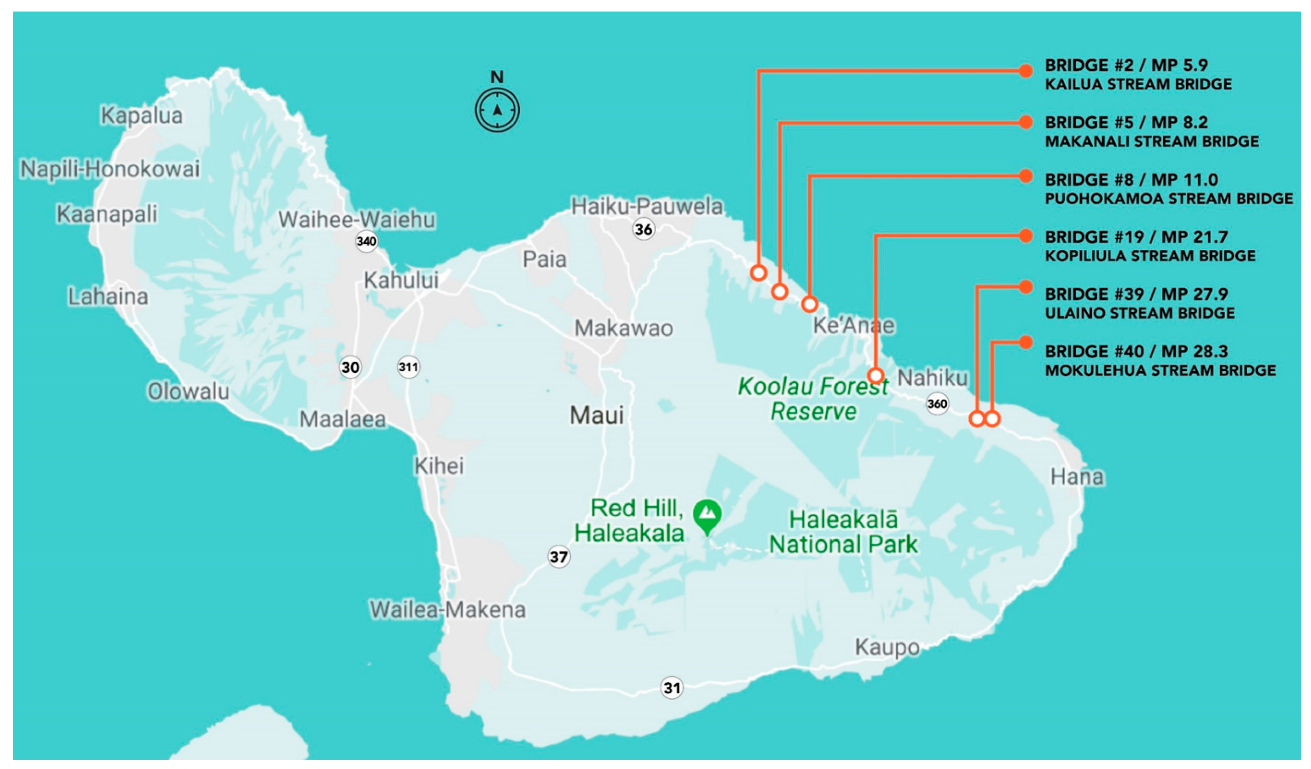 Engproc 36 00045 g001