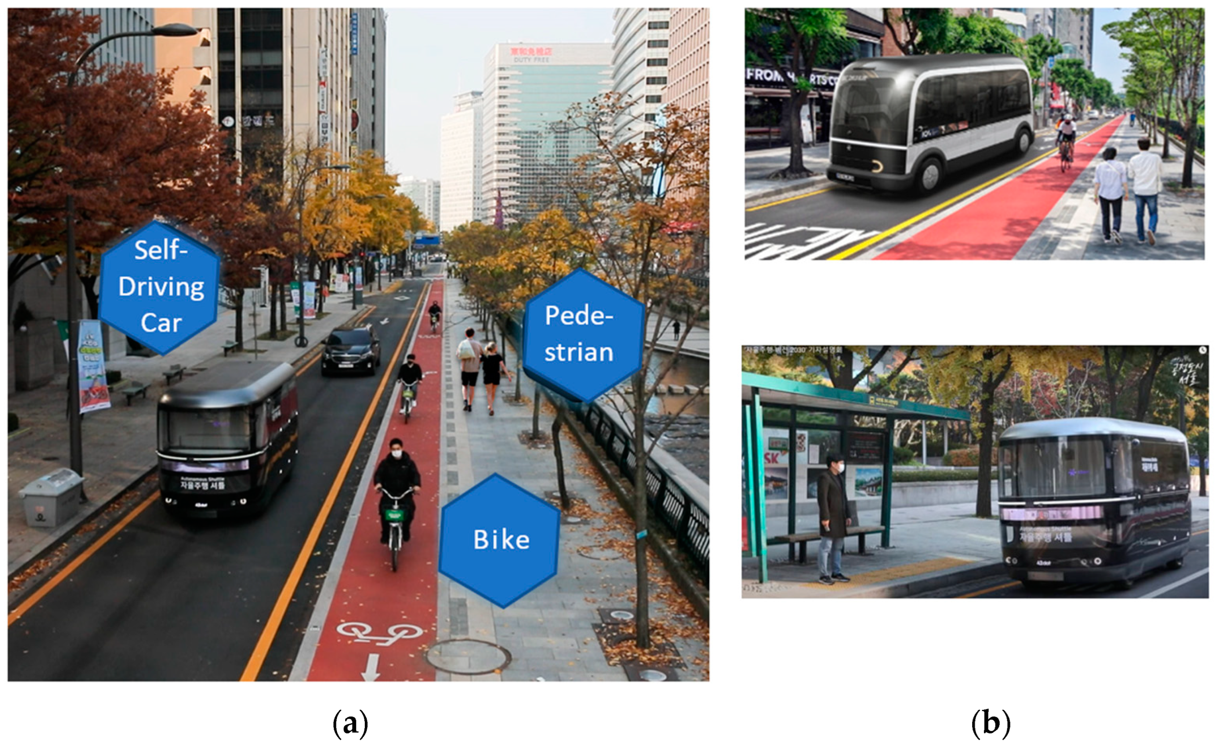 Engproc 36 00052 g003