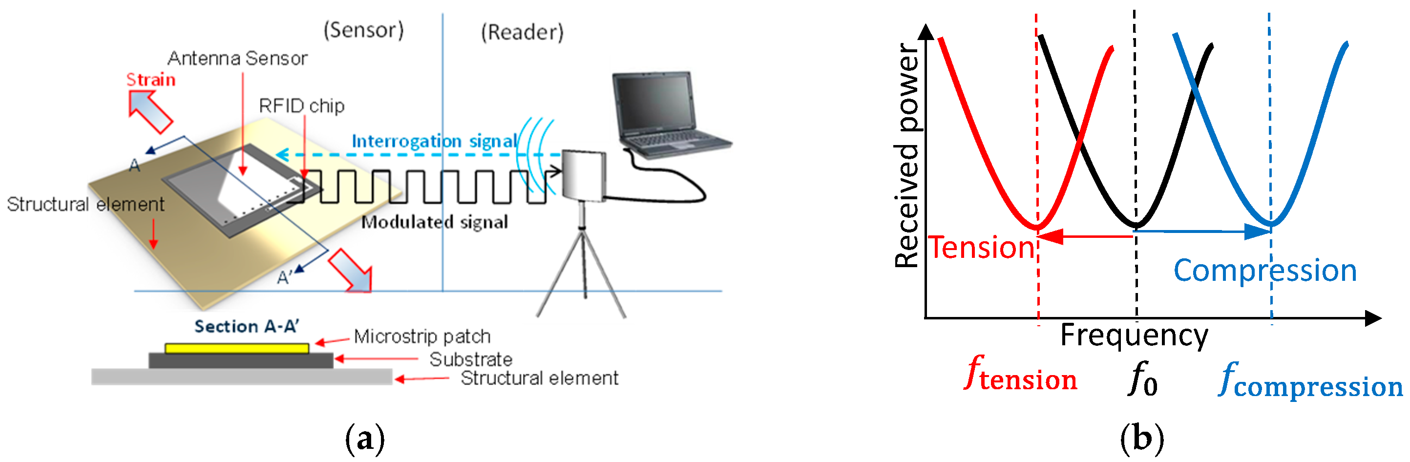 Engproc 36 00053 g001