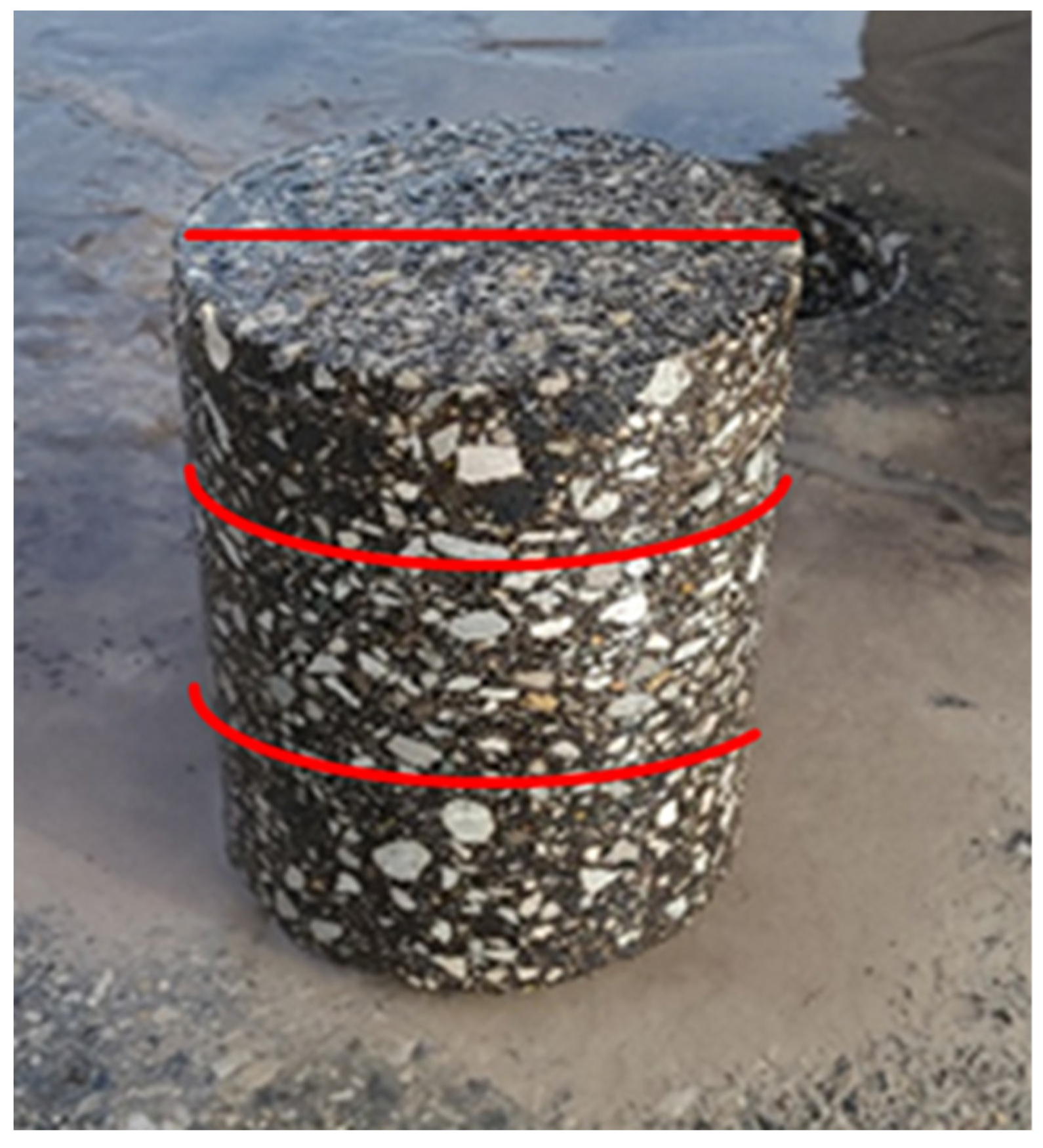 Engproc 36 00062 g001