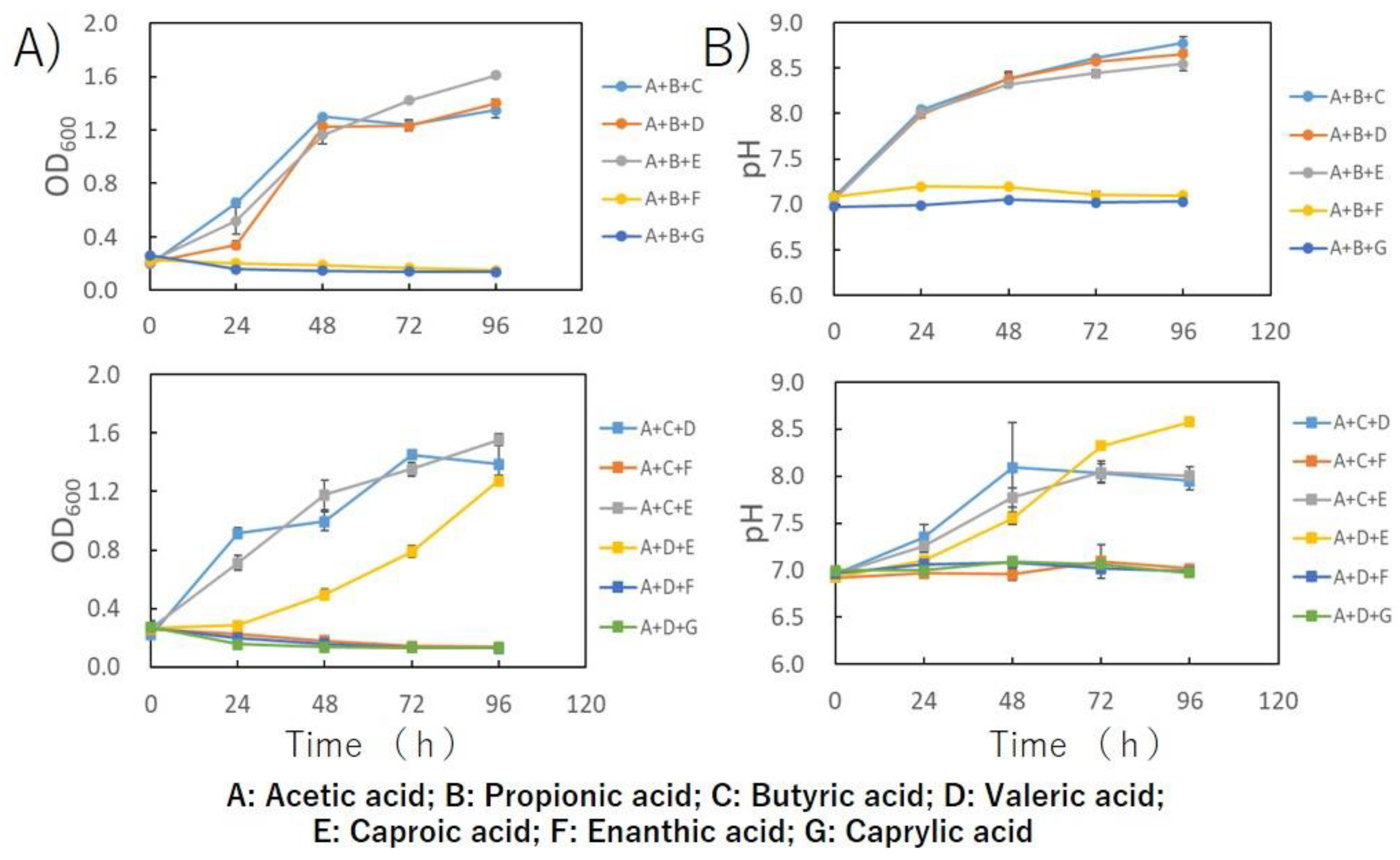 Engproc 37 00009 g002