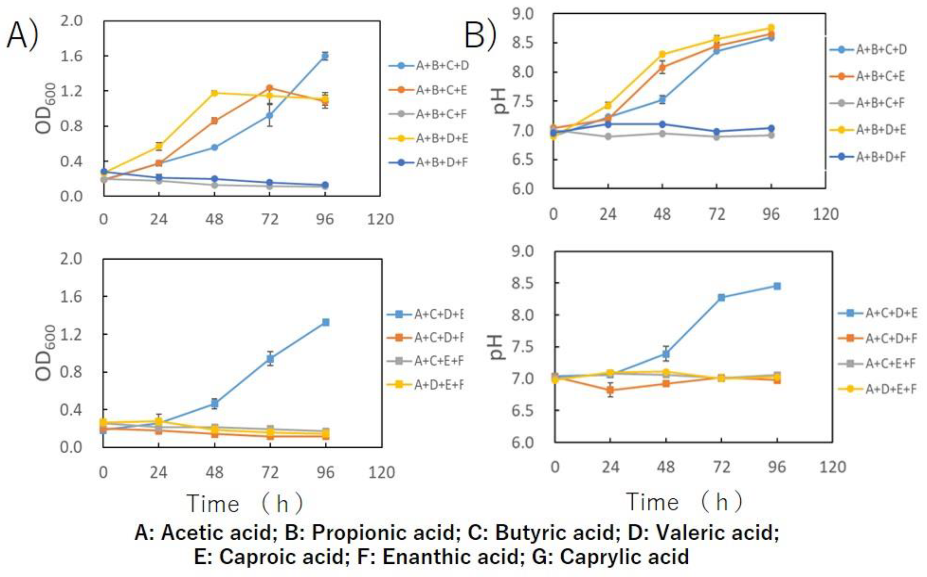 Engproc 37 00009 g003
